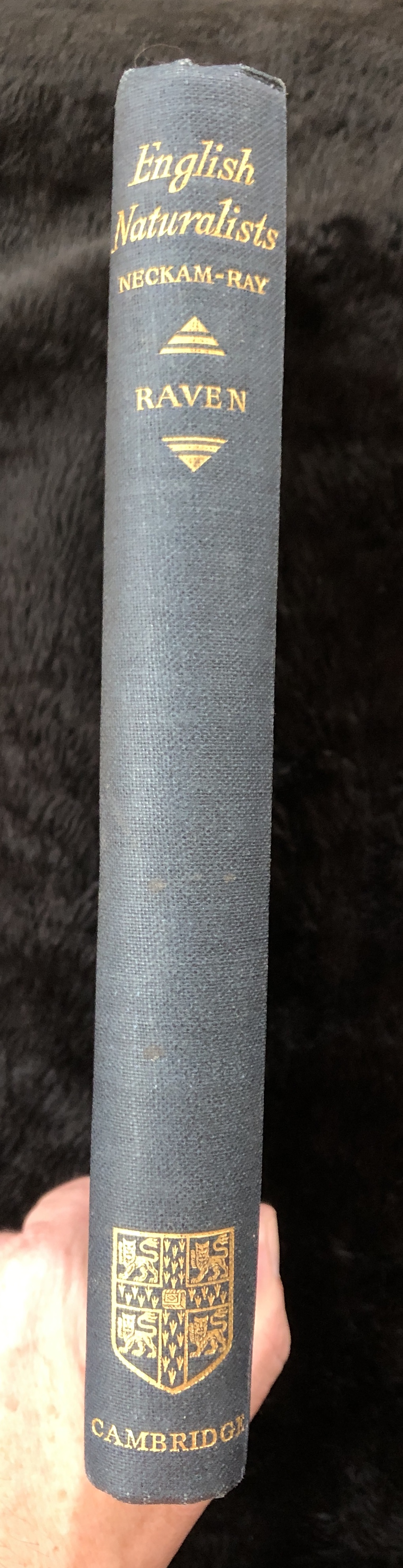 Image for English Naturalists from Neckam to Ray: A Study of the Making of the Modern World