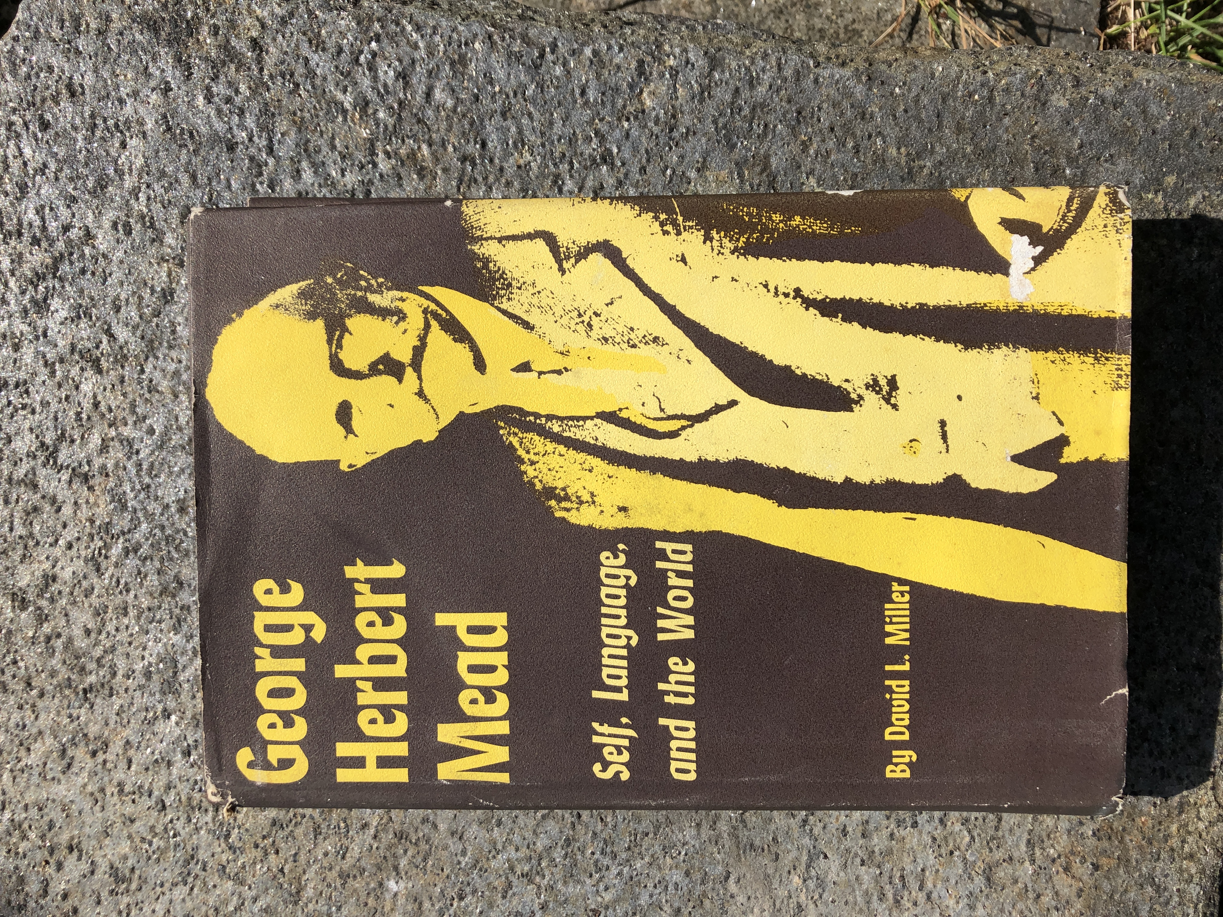 Image for "George Herbert Mead Self, Language, and the World"
