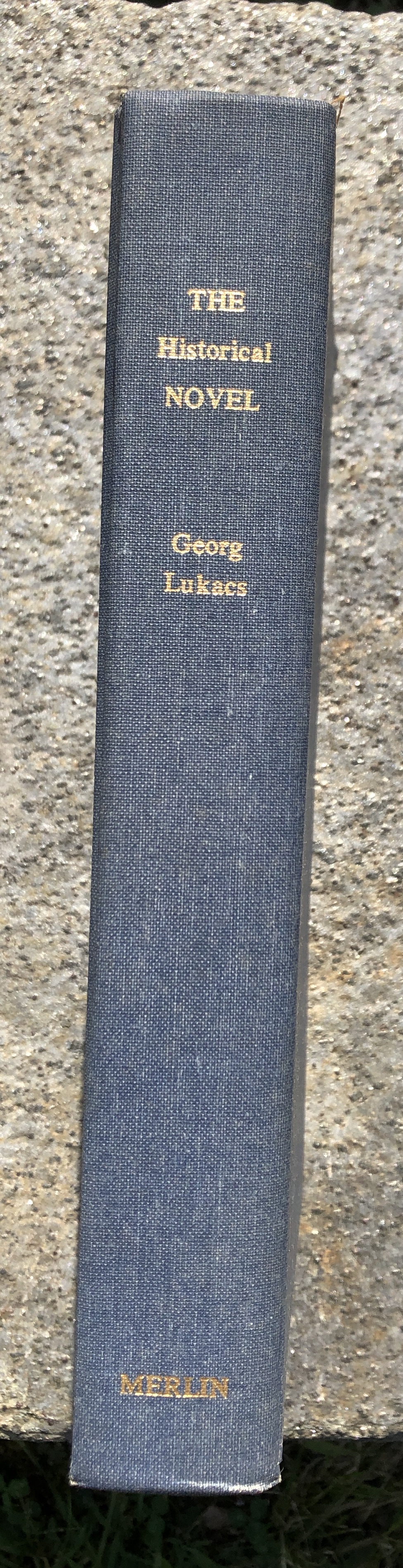 Image for The Historical Novel