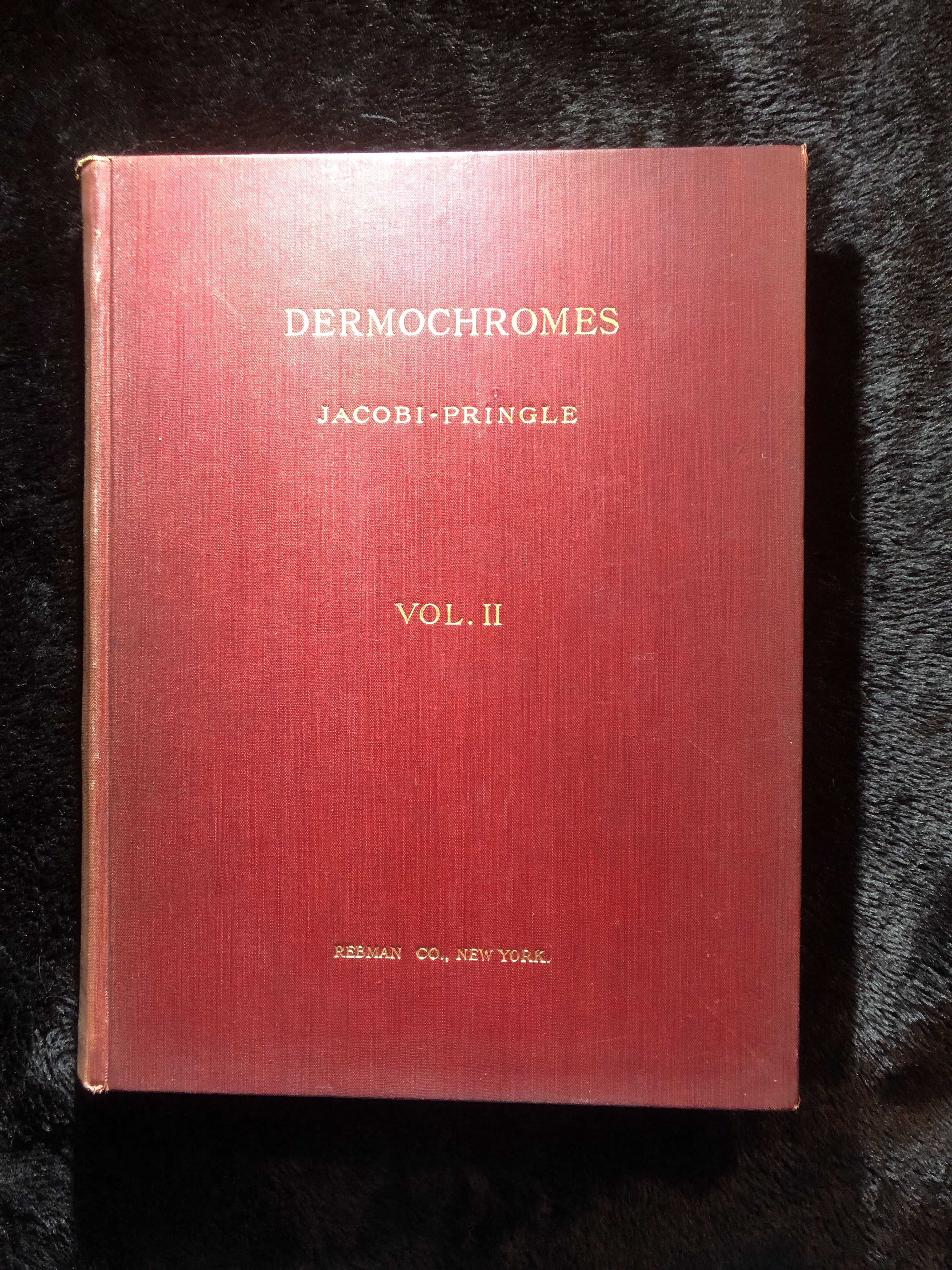 Image for Portfolio of Dermochromes Vol 2