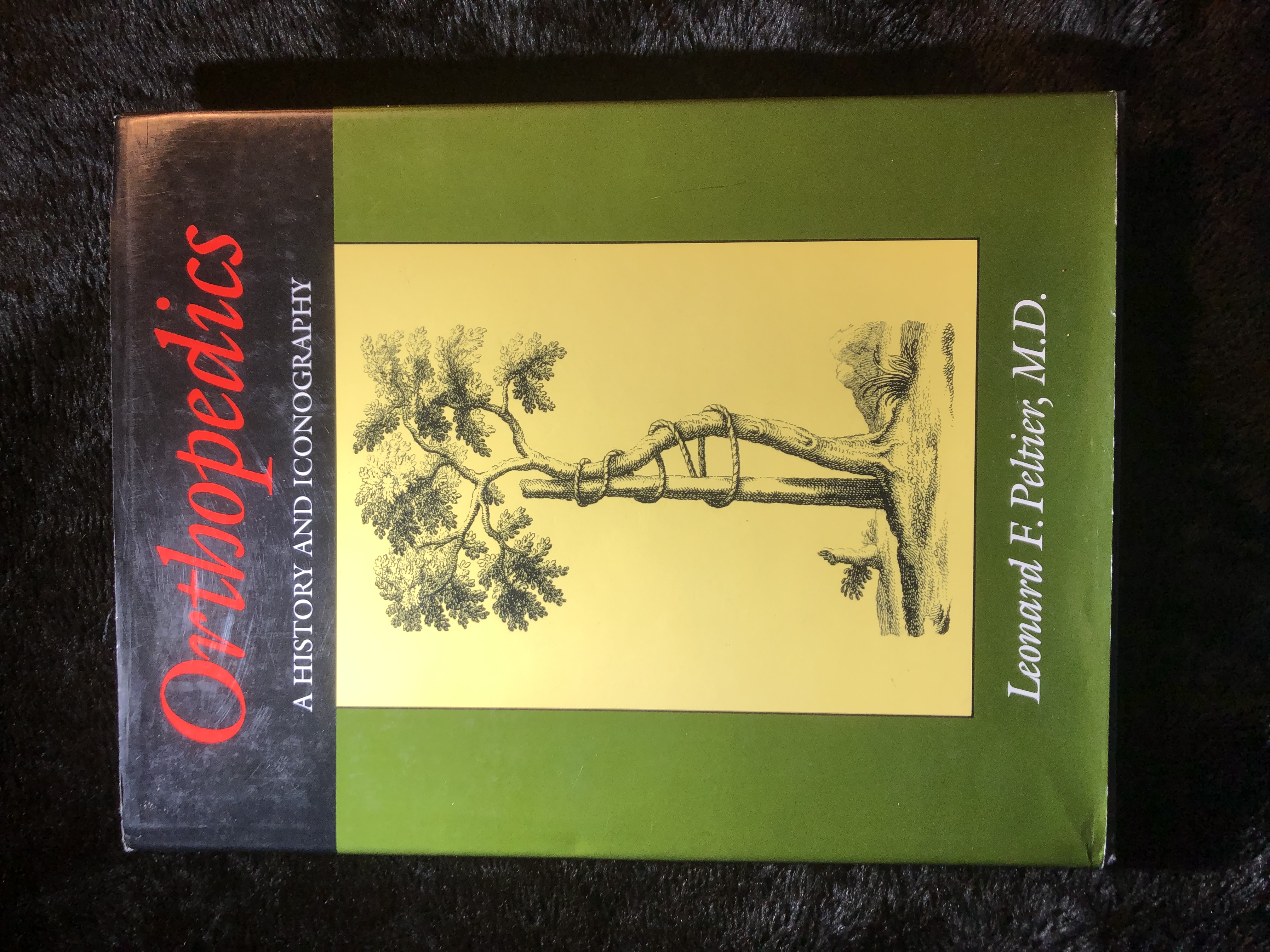 Image for Orthopedics A History and Iconography