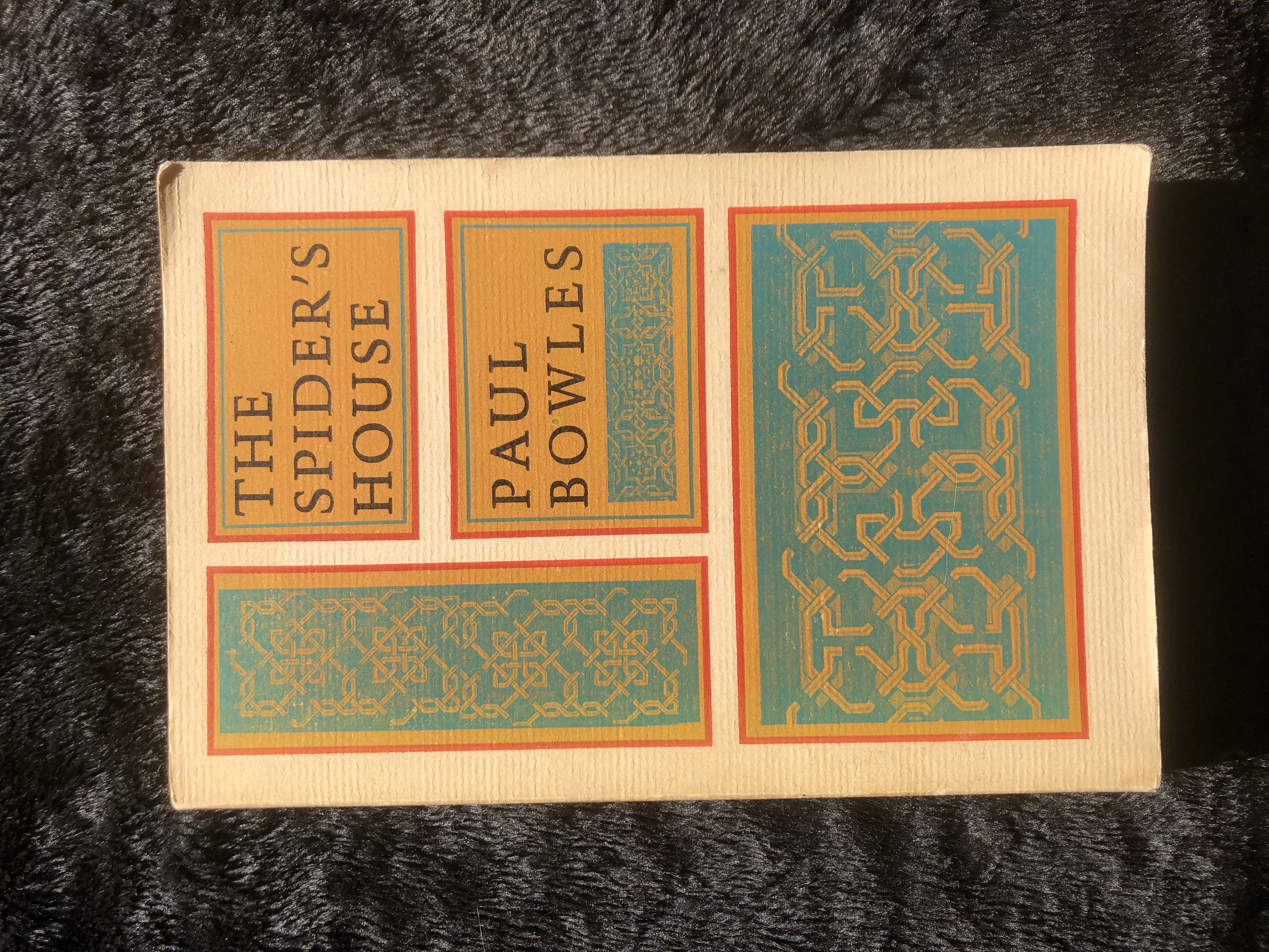 Image for The Spider's House