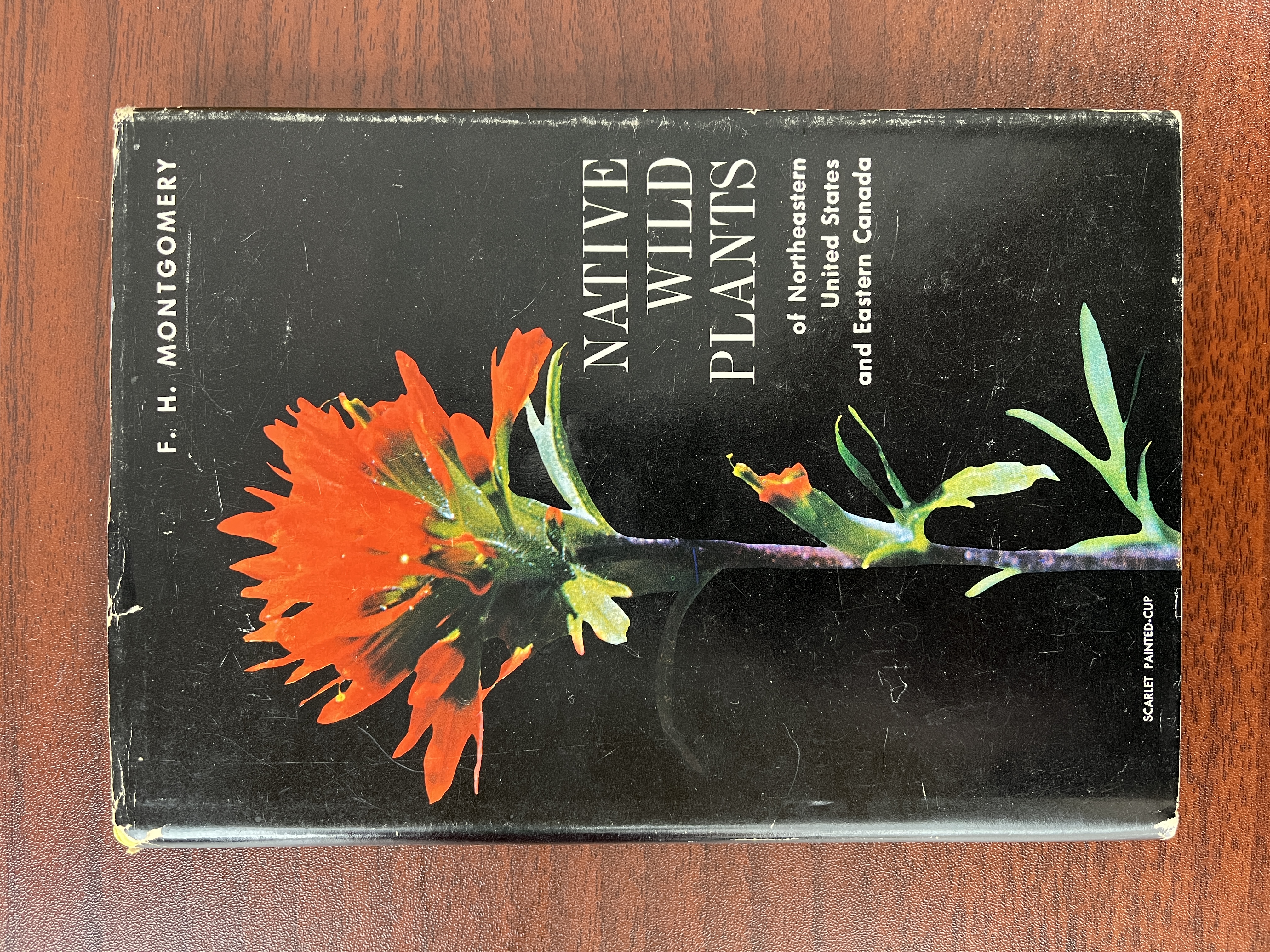 Image for Native Wild Plants of Northeastern United States and Eastern Canada