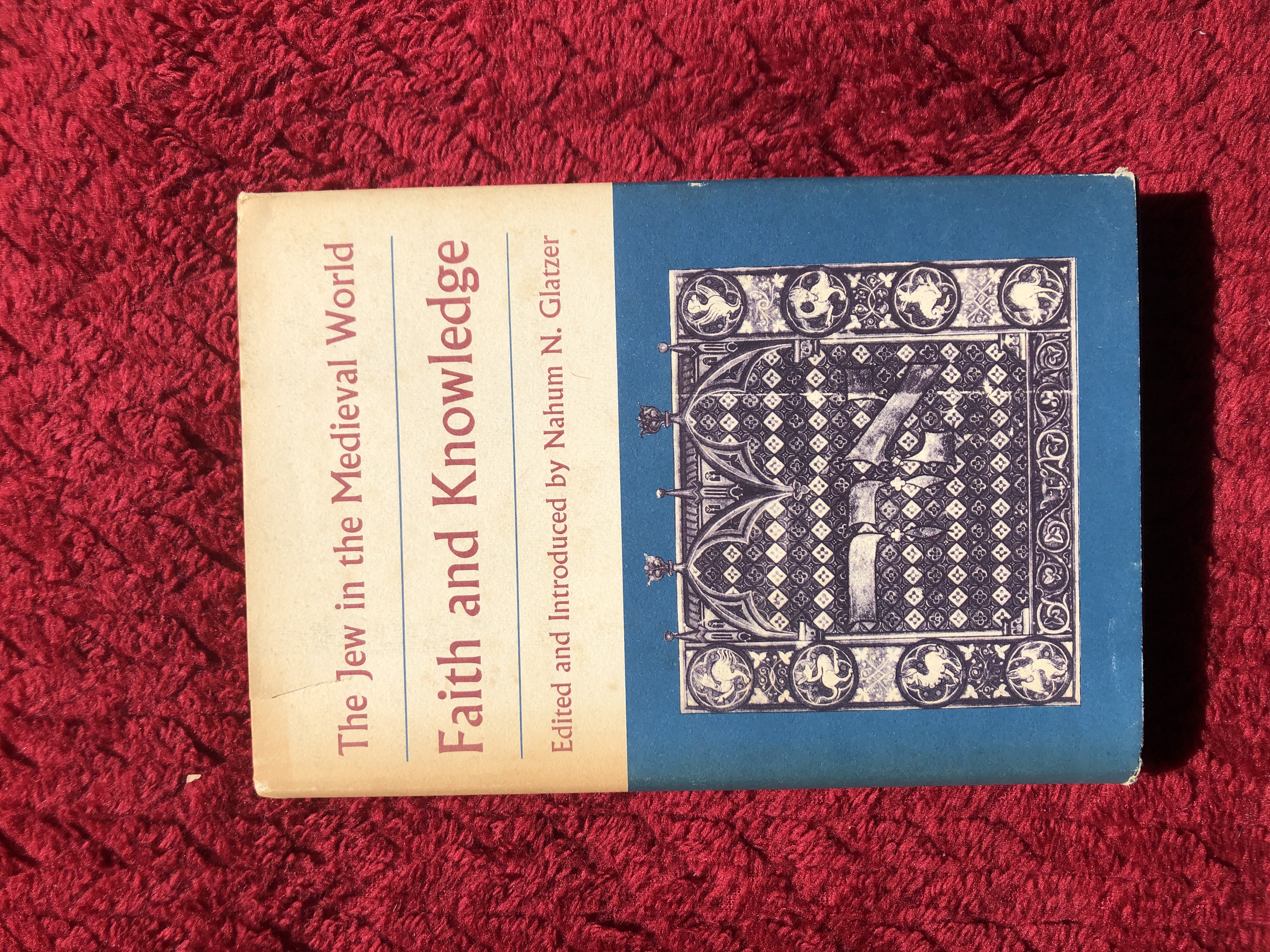 Image for Faith and knowledge: the Jew in the medieval world