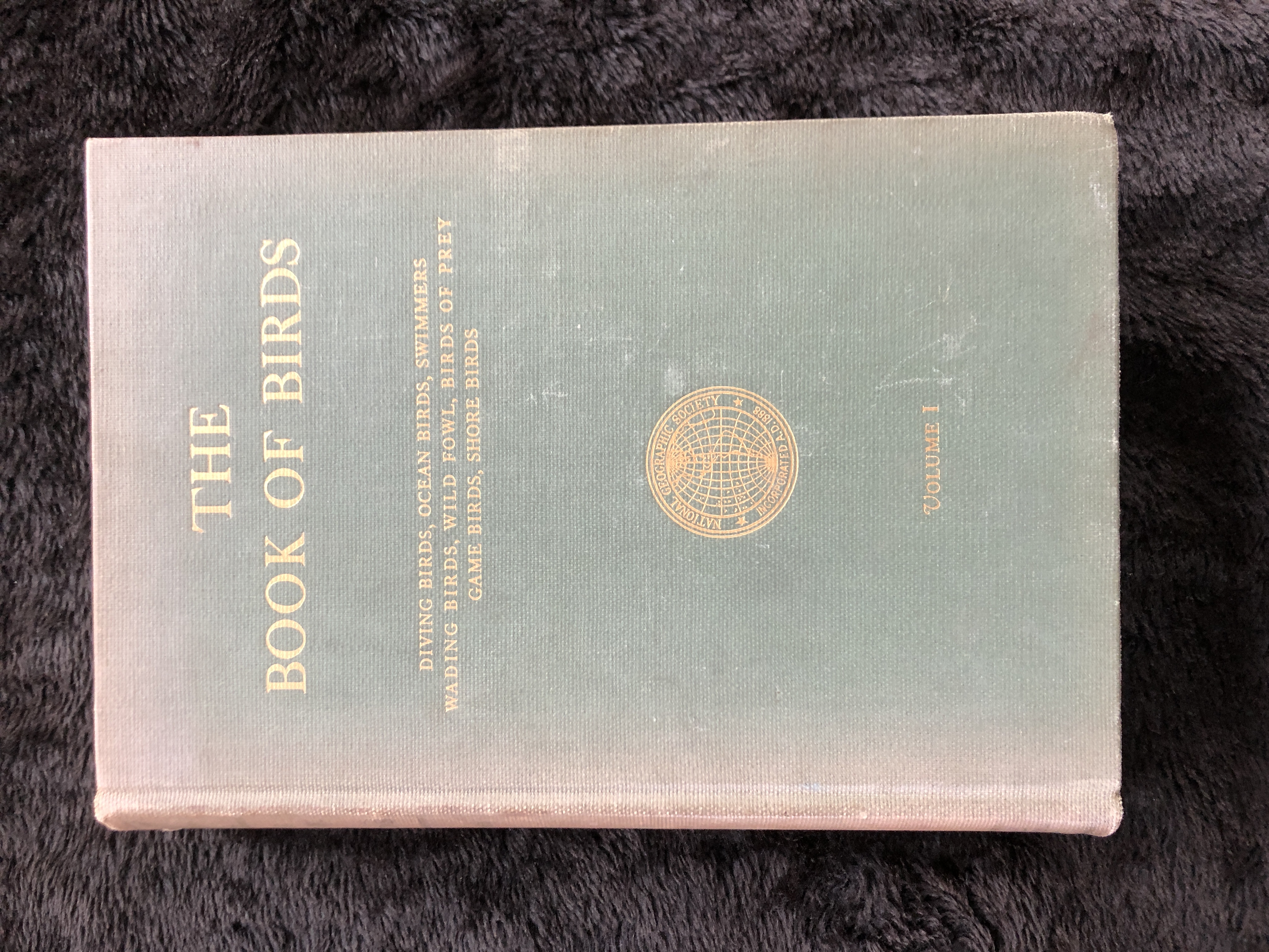 Image for The Book of Birds
