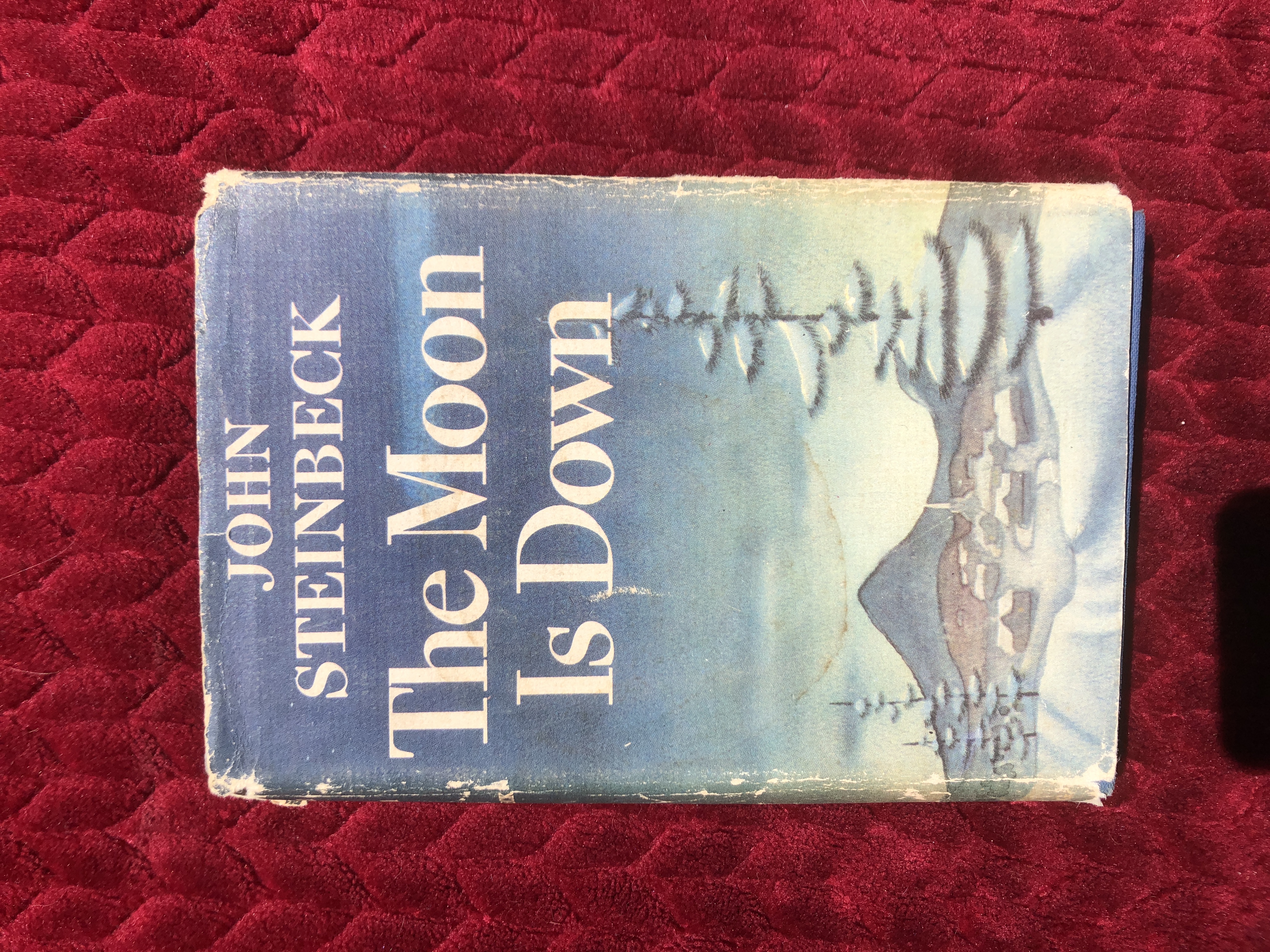 Image for The moon is down ; novel