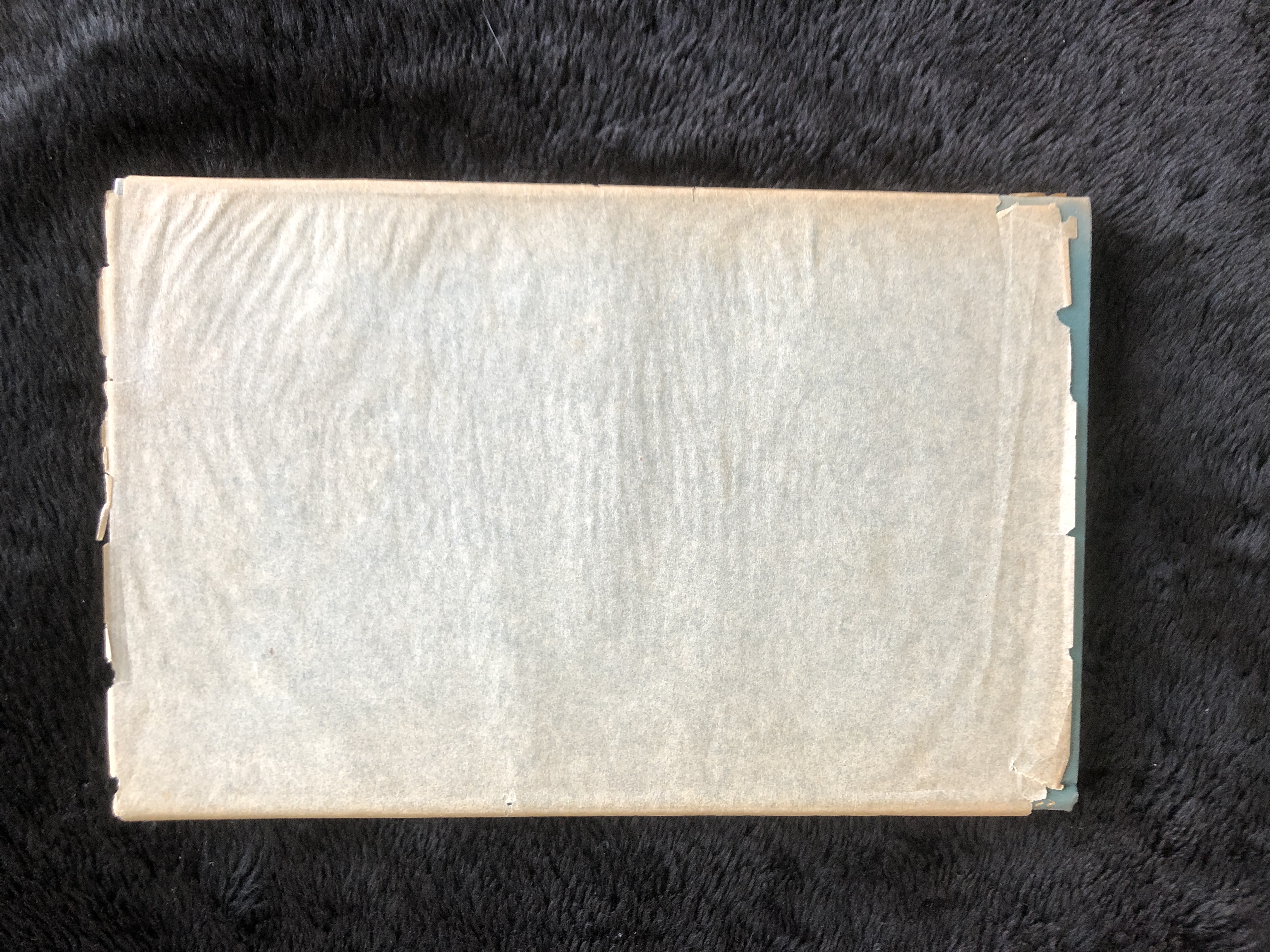 Image for Banned Books