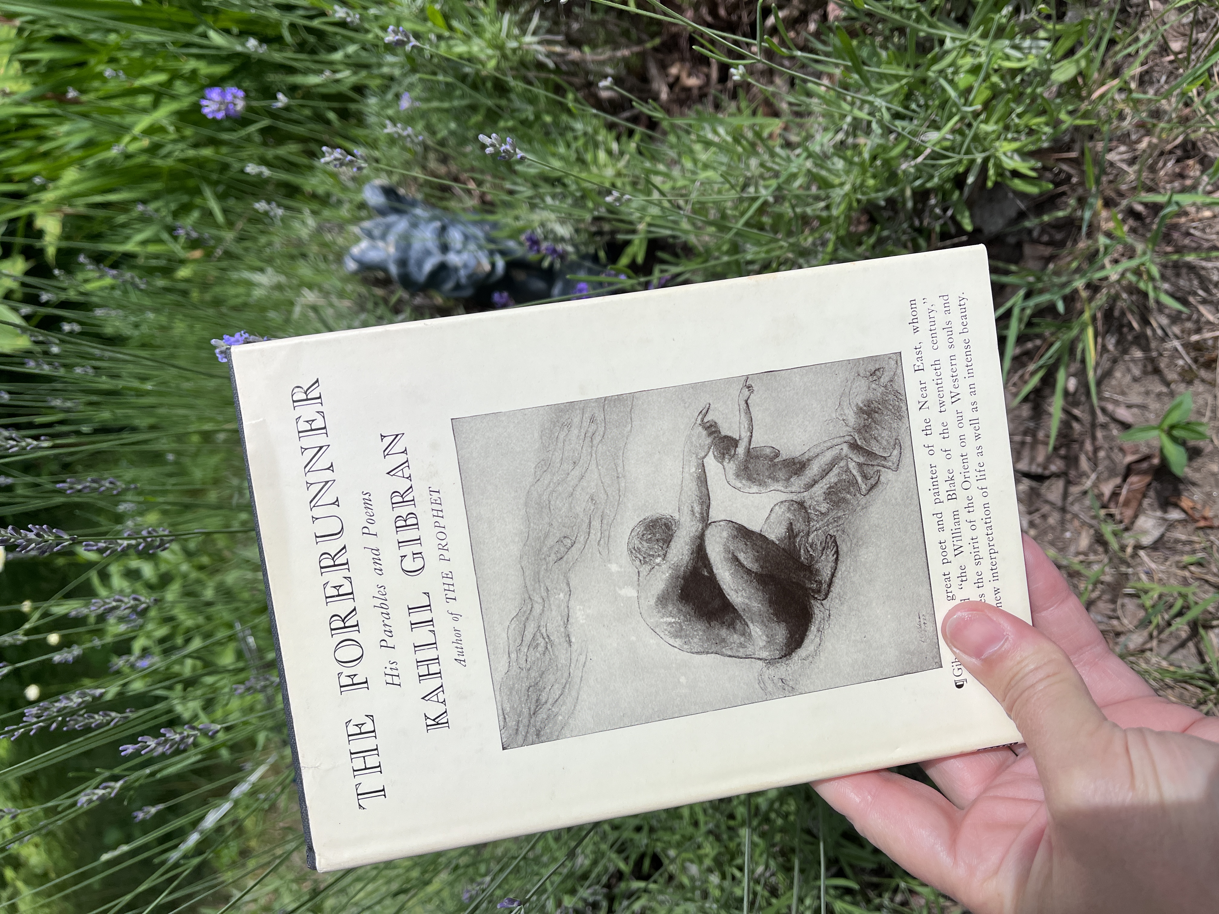Image for "The Forerunner, His Parables and Poems"