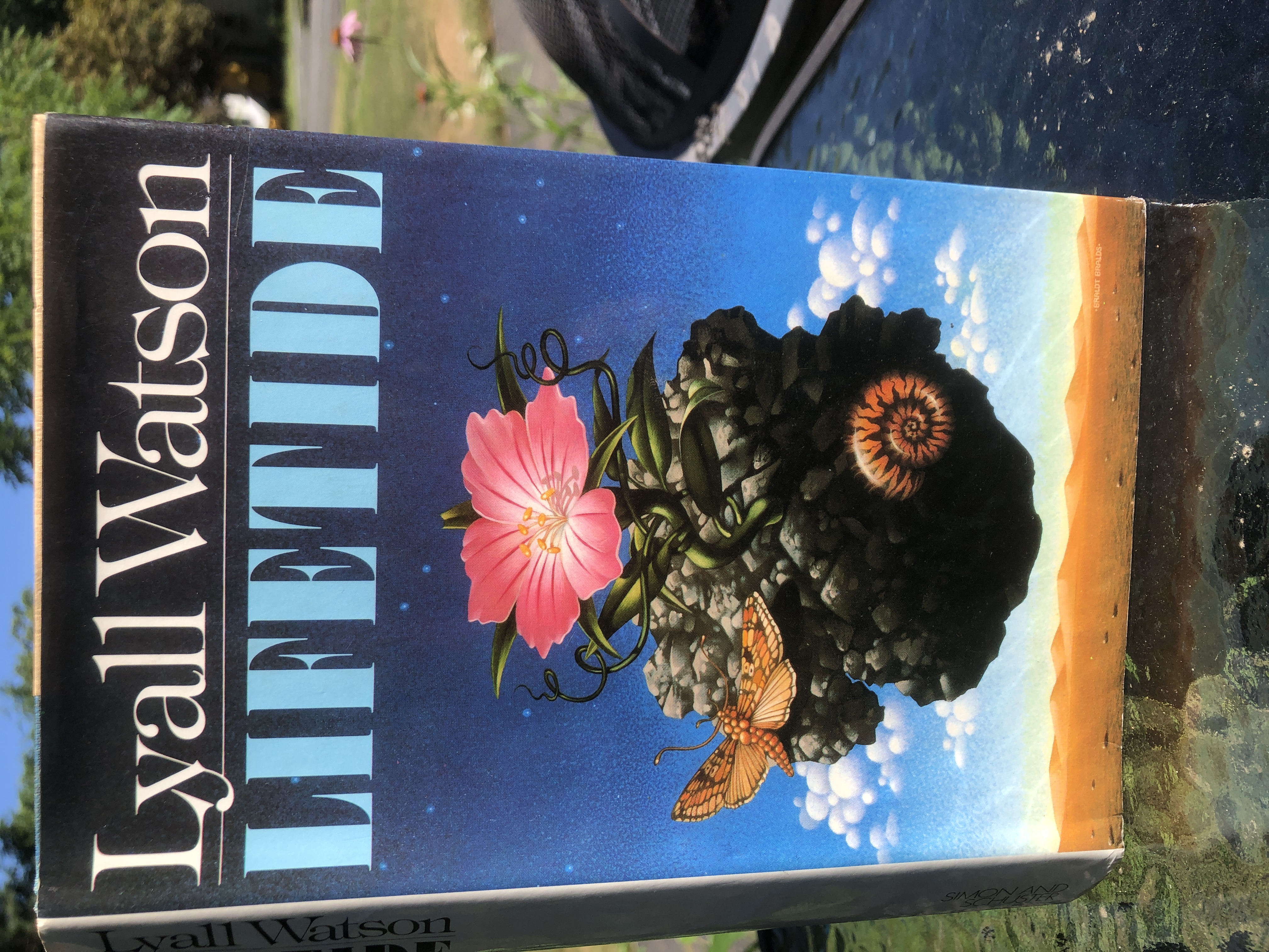 Image for Lifetide: The Biology of the Unconscious