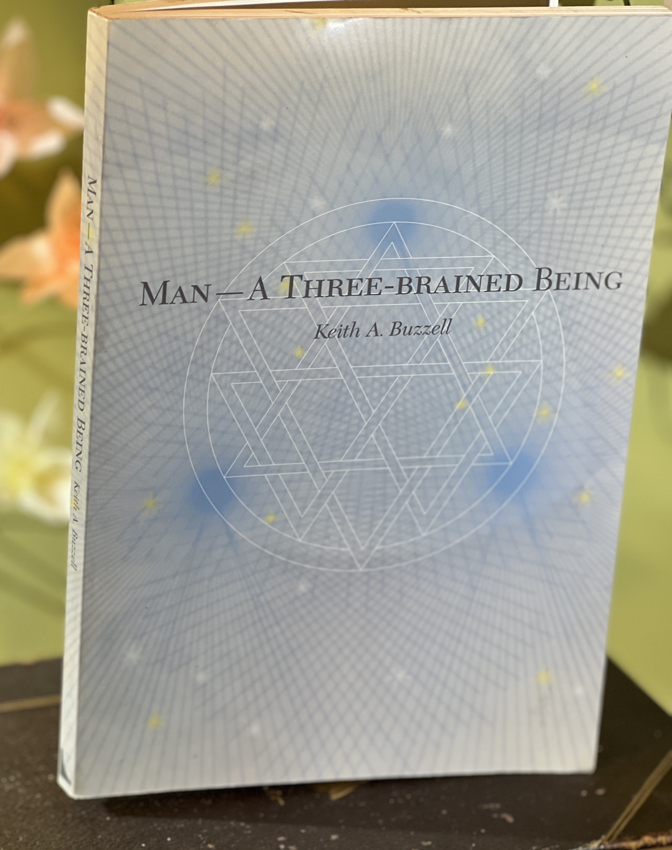Image for "Man, a Three-brained Being: Resonant Aspects of Modern Science and the Gurdjieff Teaching"