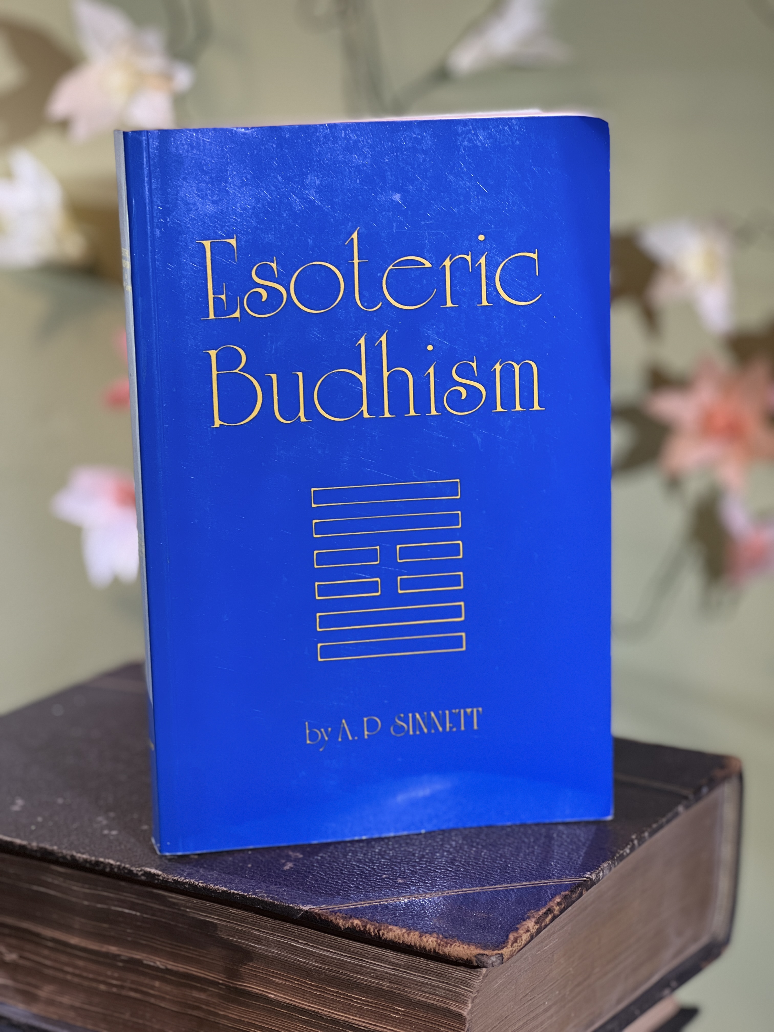 Image for Esoteric Budhism