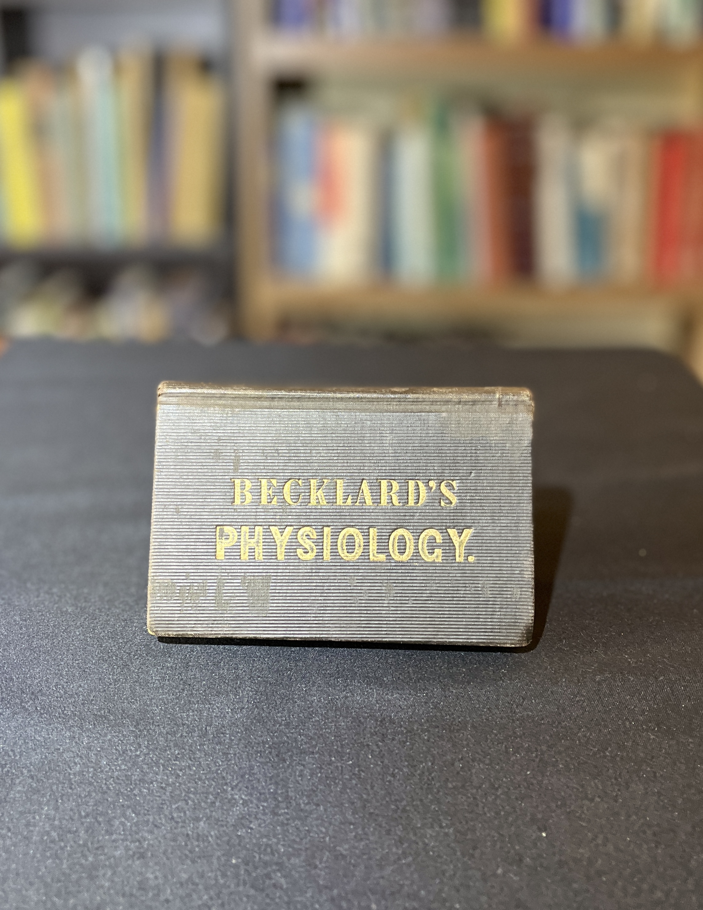 Image for "Physiological Mysteries and Revelations in Love, Courtship and Marriage: An Infallible Guide-Book for Married and Single Persons, in Matters of the Utmost Importance to the Human Race"