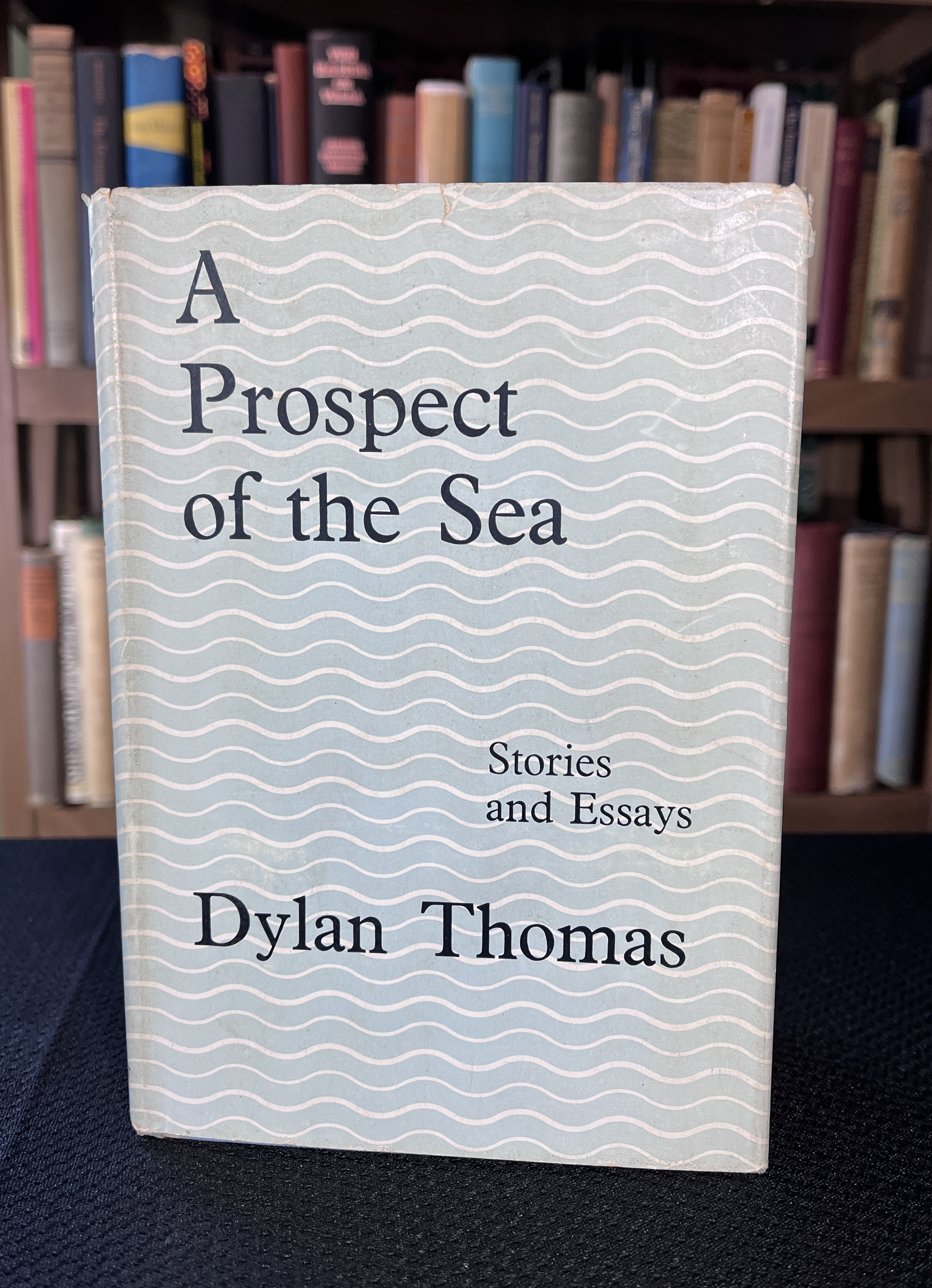 Image for A Prospect of the Sea: And Other Stories and Prose Writings