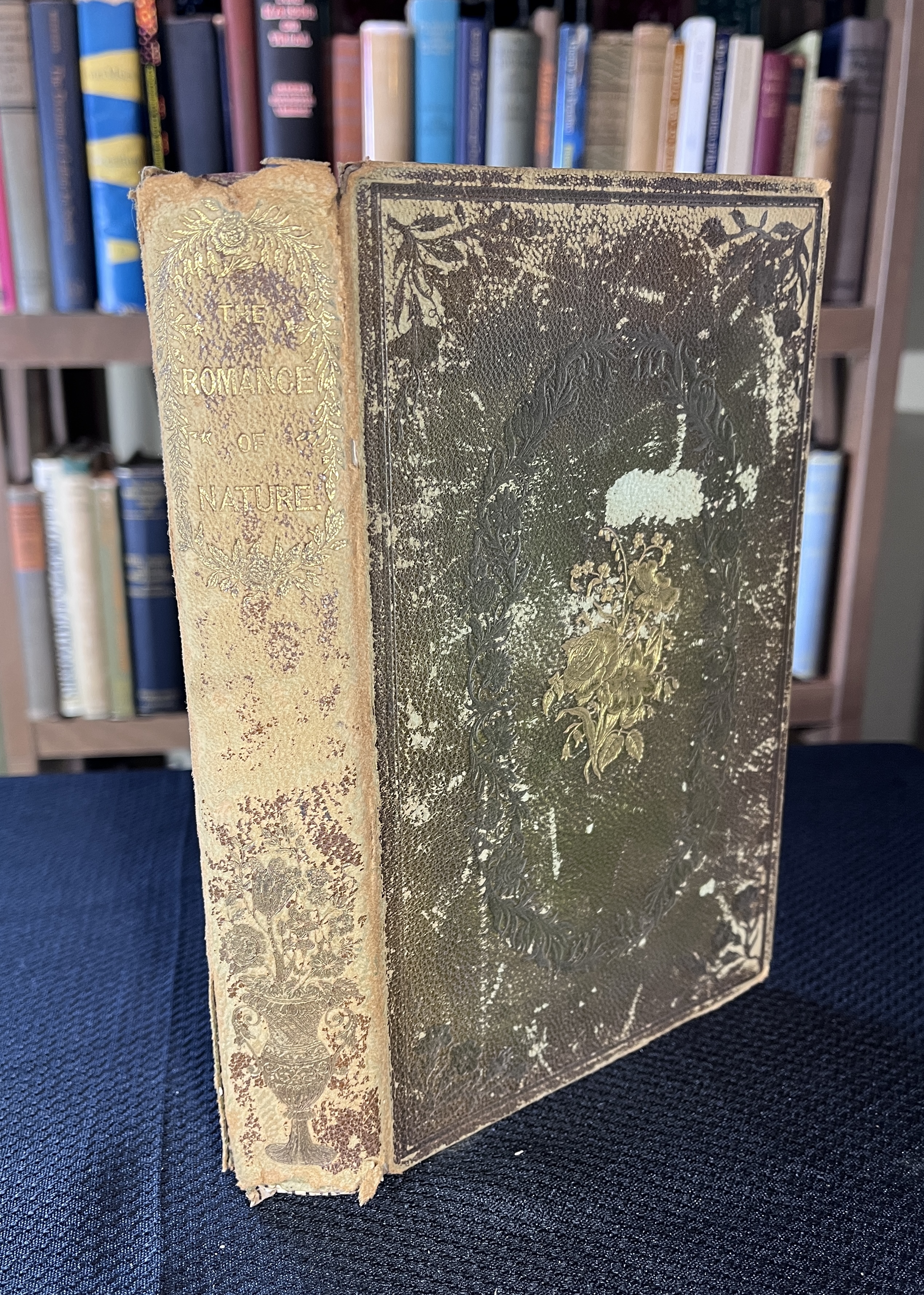 Image for "The Romance of Nature, Or, The Flower-seasons Illustrated"