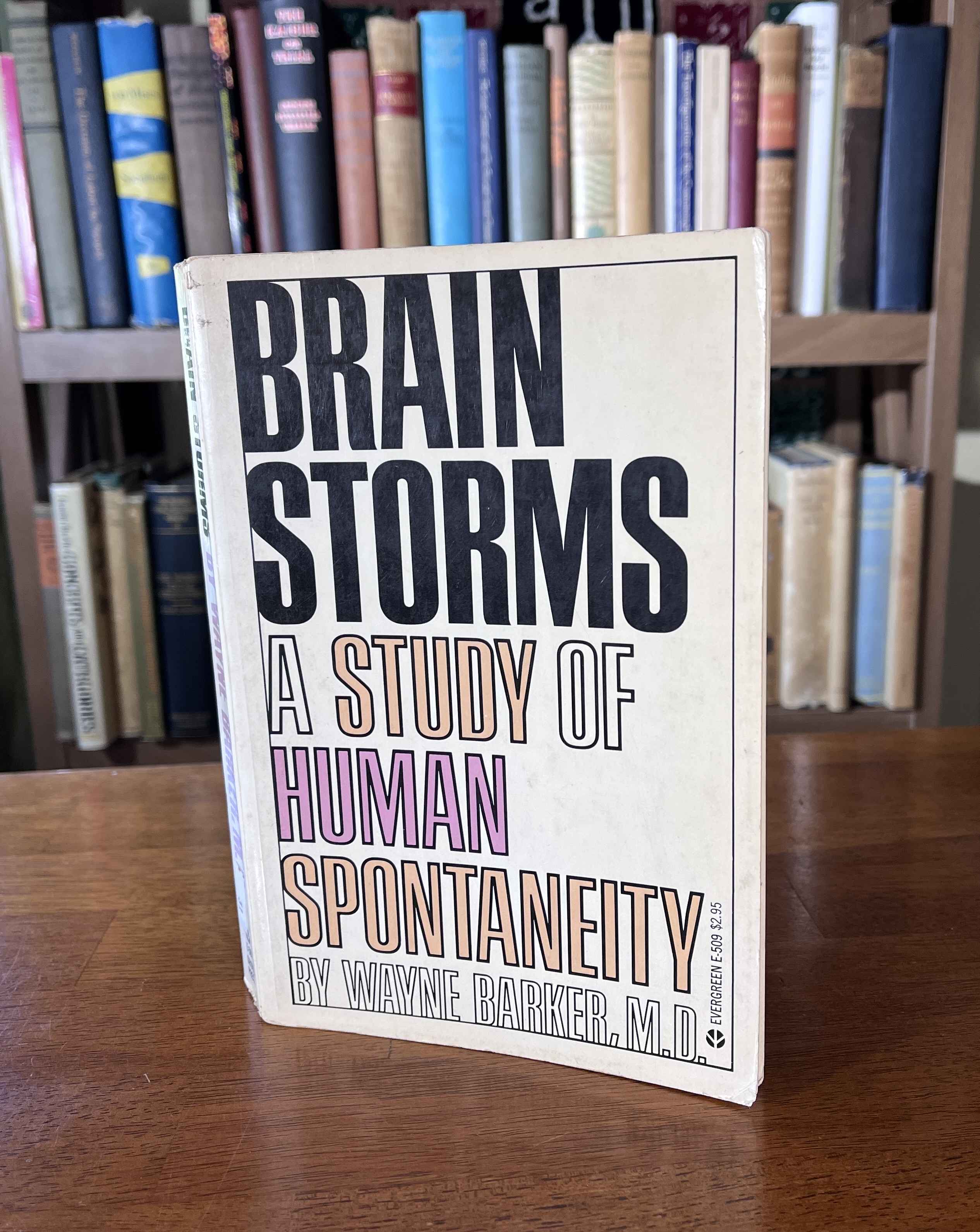Image for Brain Storms: A Study of Human Spontaneity