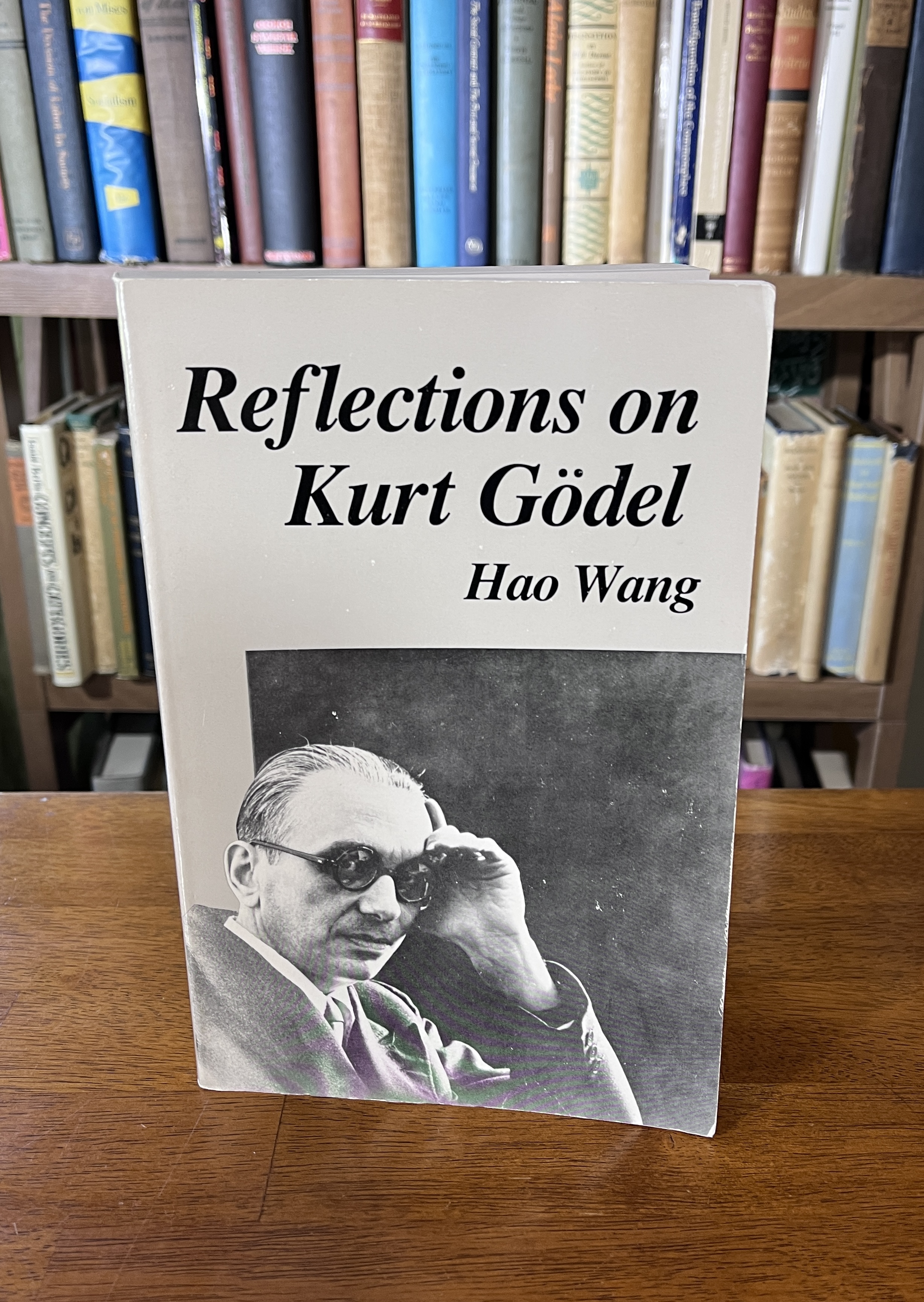 Image for Reflections on Kurt Godel