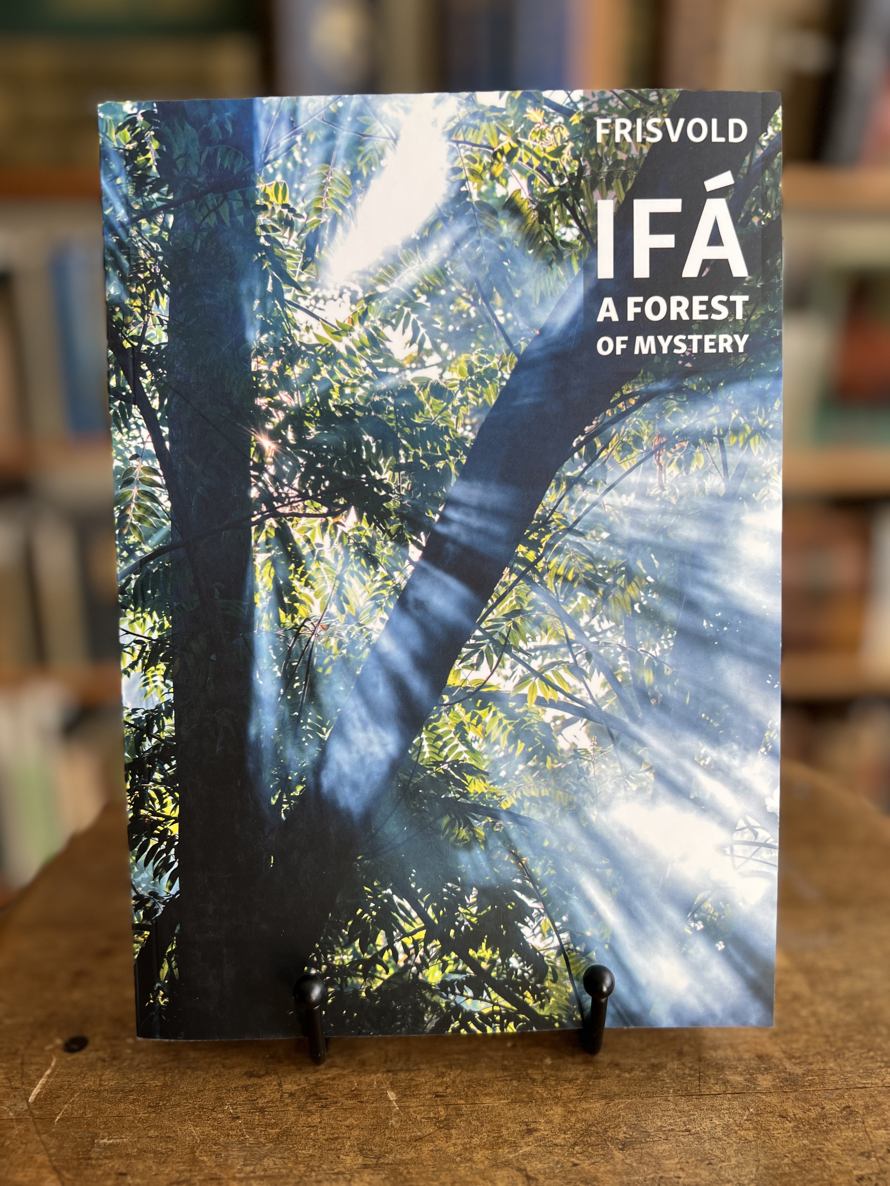 Image for Ifa: A Forest of Mystery