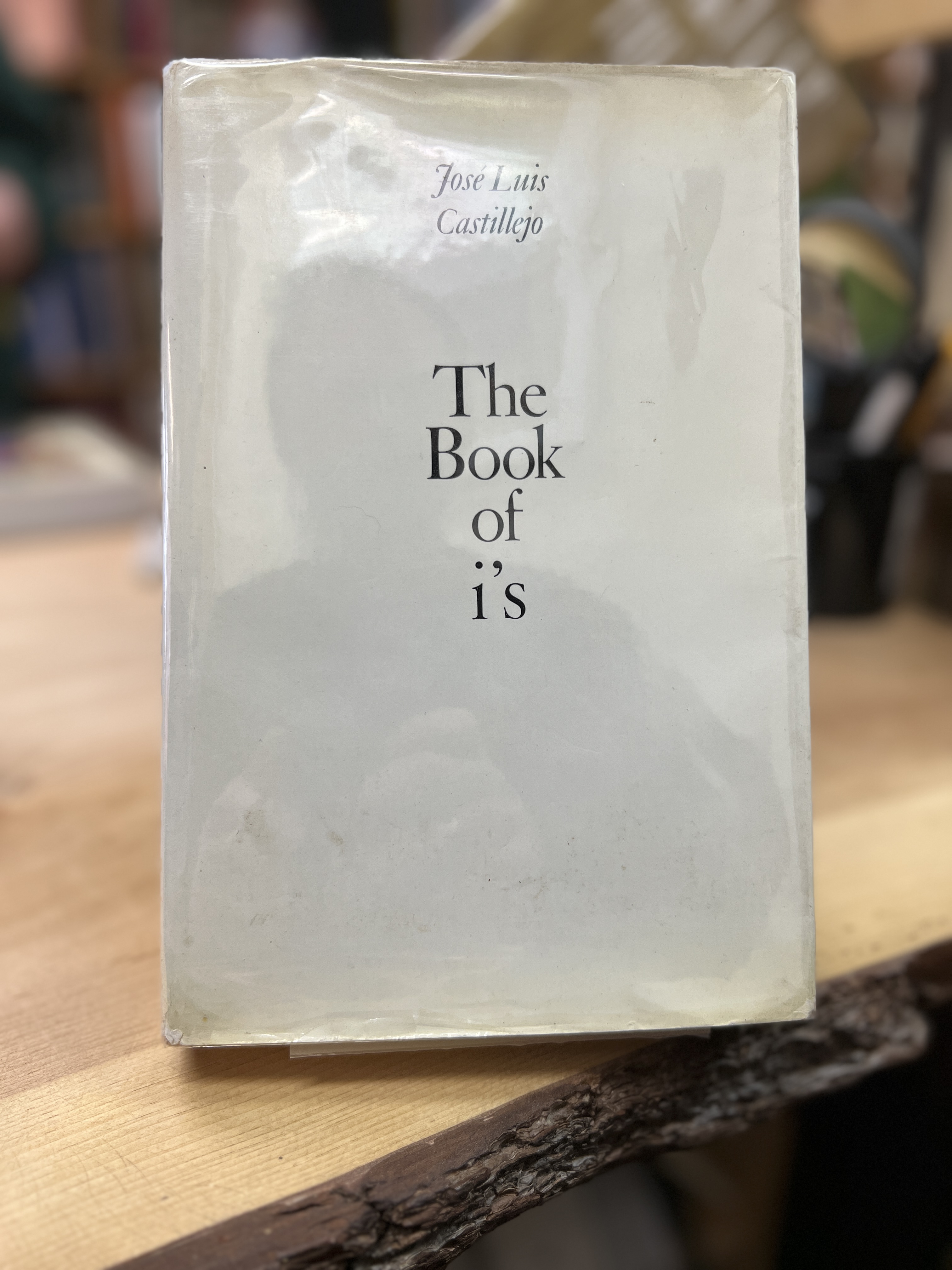 Image for The Book of i's