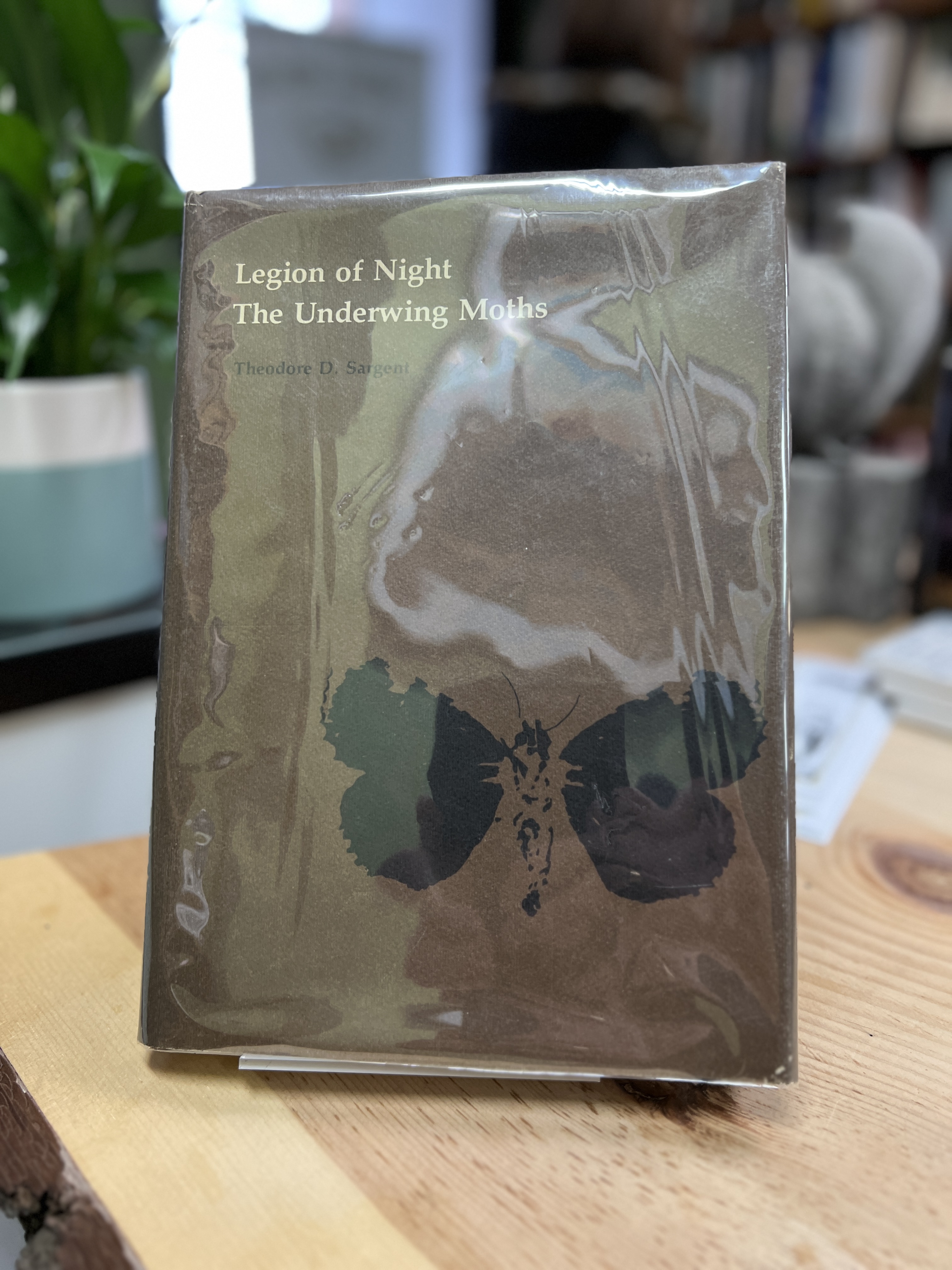 Image for Legion of Night: The Underwing Moths
