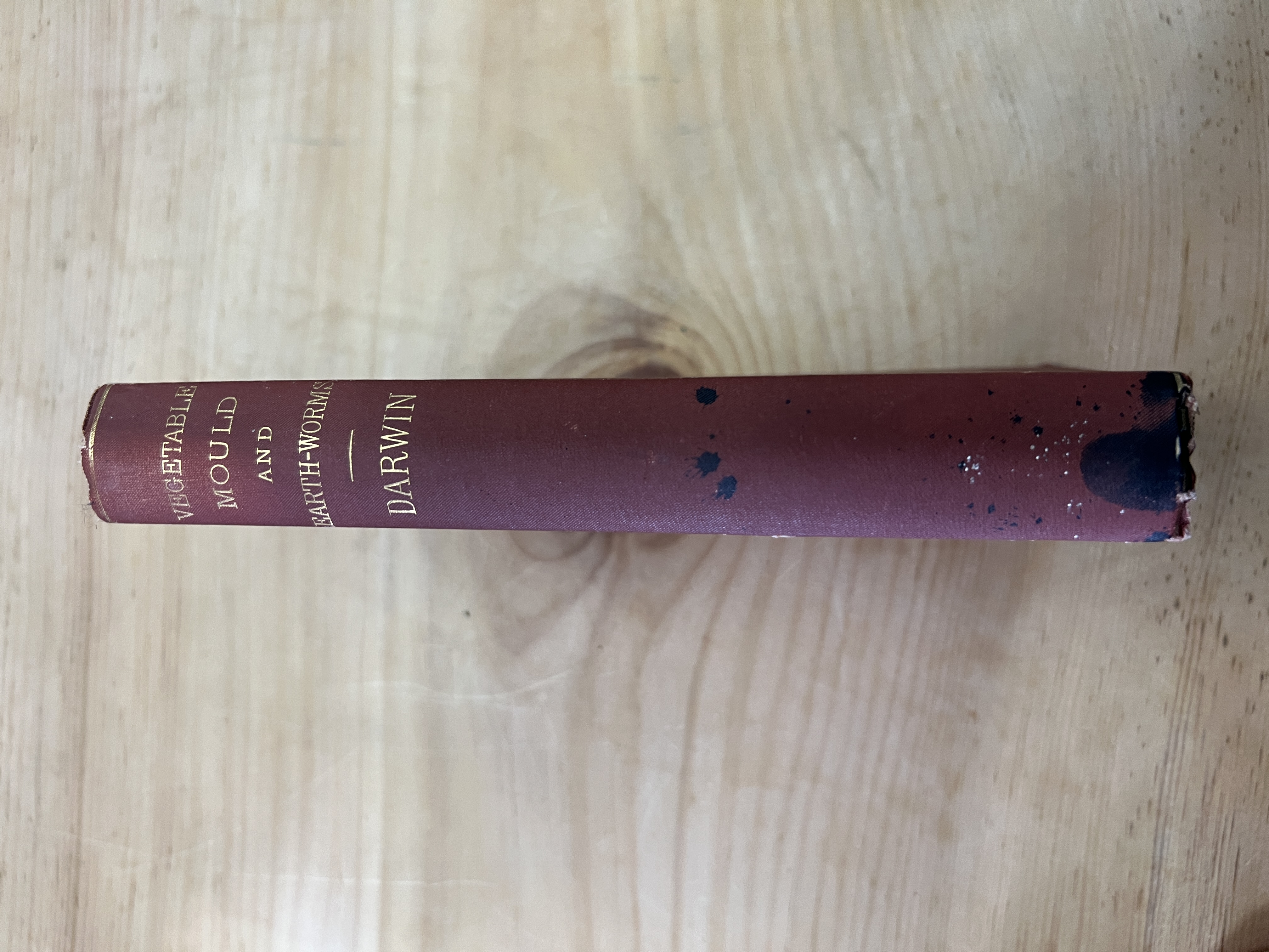 Image for The Formation of Vegetable Mould Through the Action of Worms: With Observations of Their Habits
