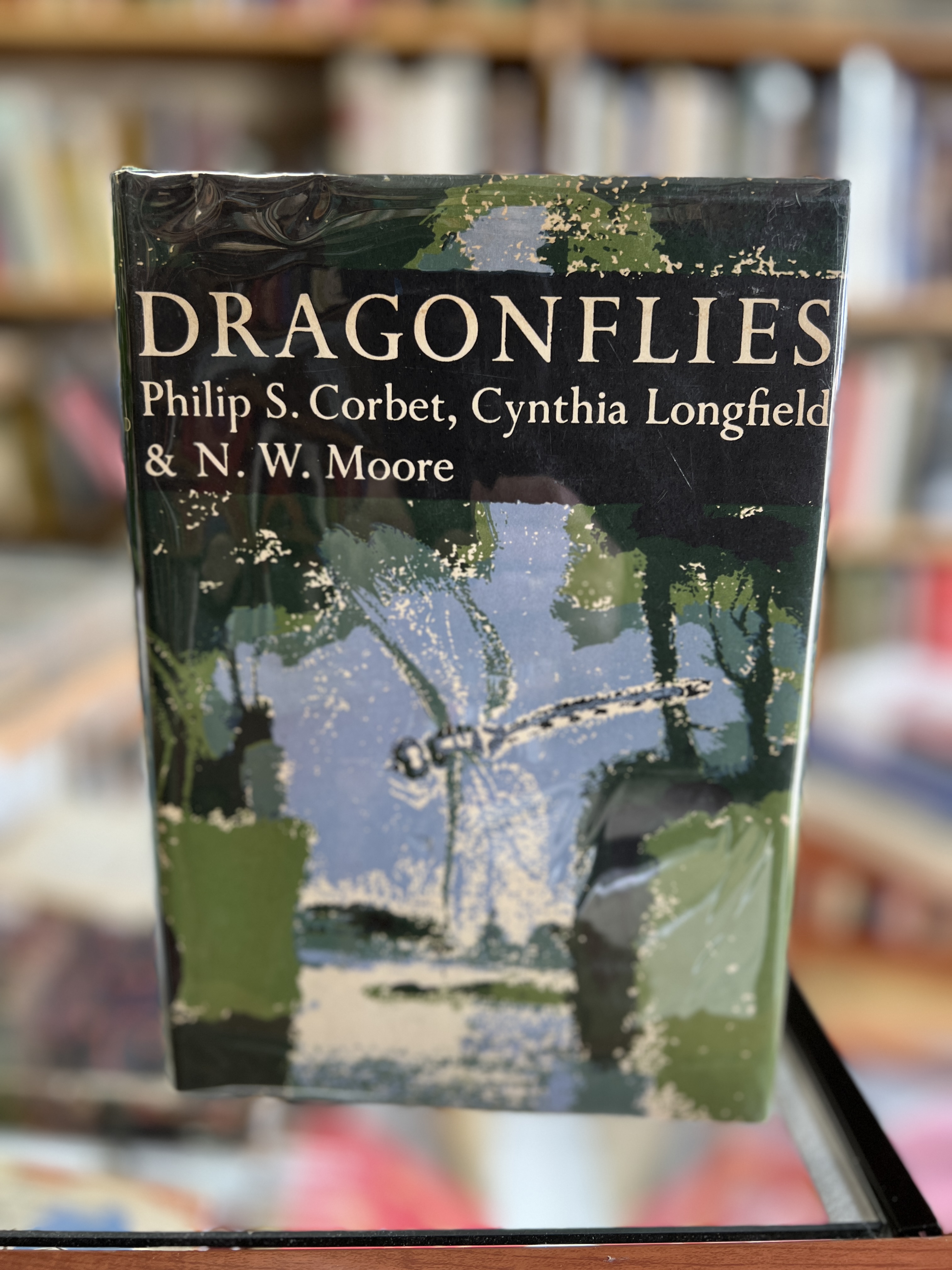 Image for Dragonflies