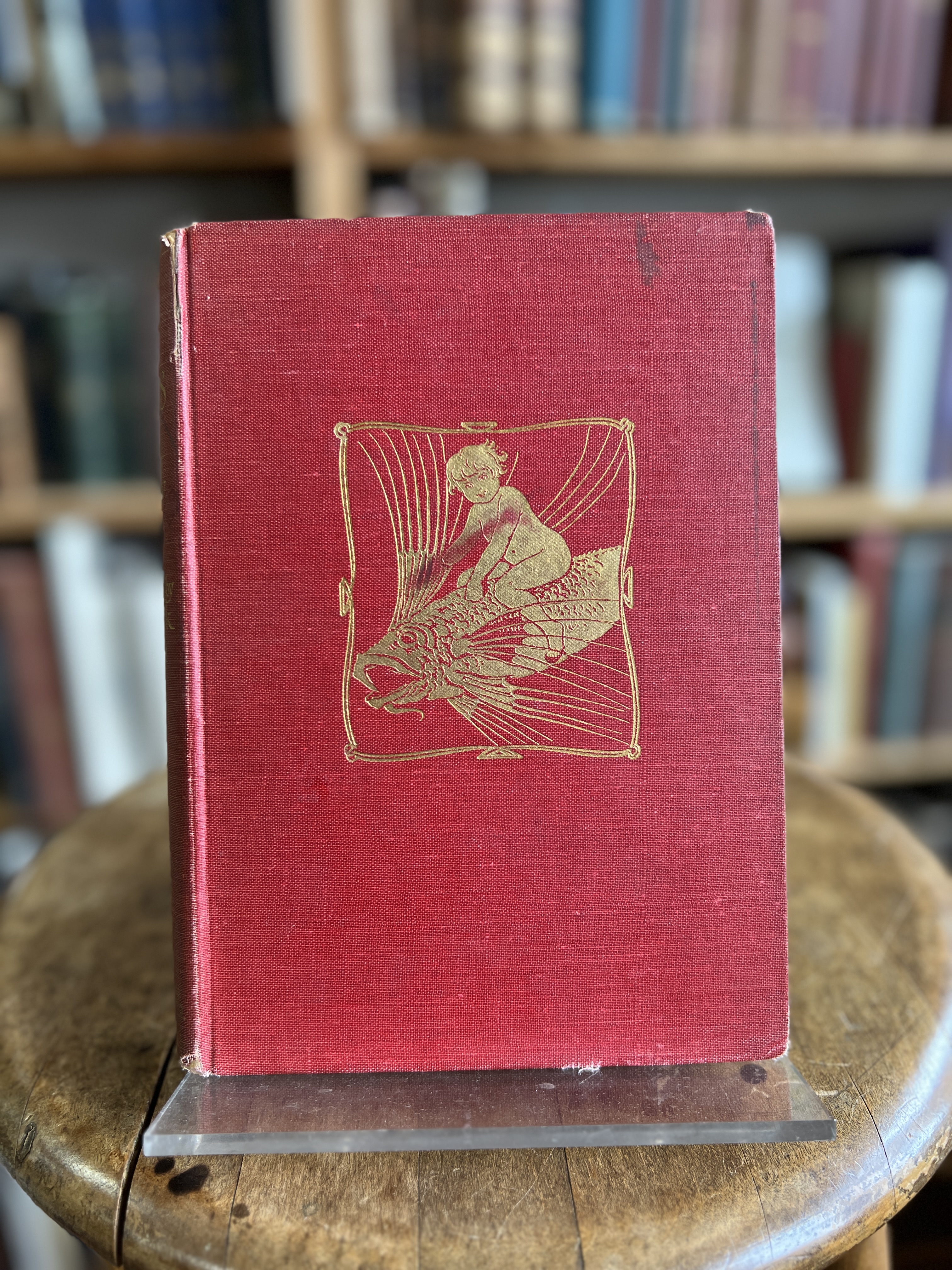 Image for The Water Babies: A Fairy Tale for a Land-Baby