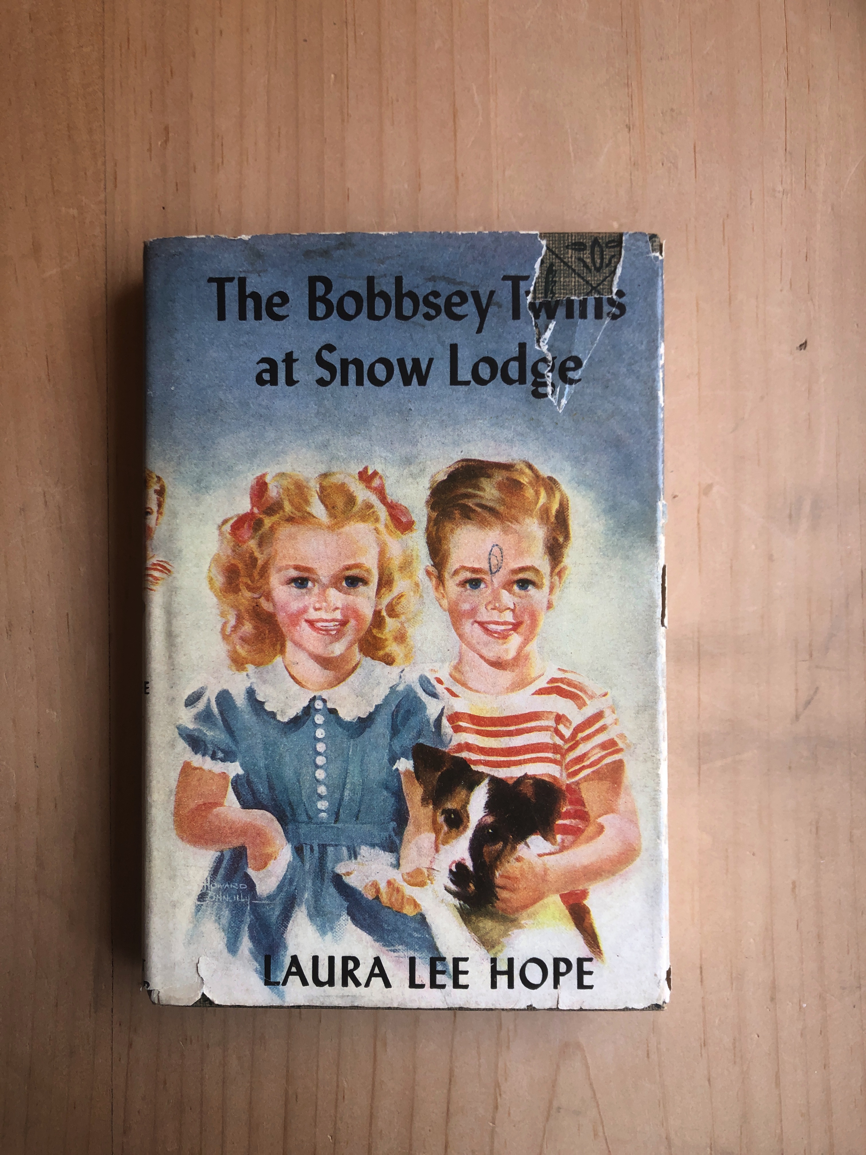 Image for The Bobbsey Twins at Snow Lodge