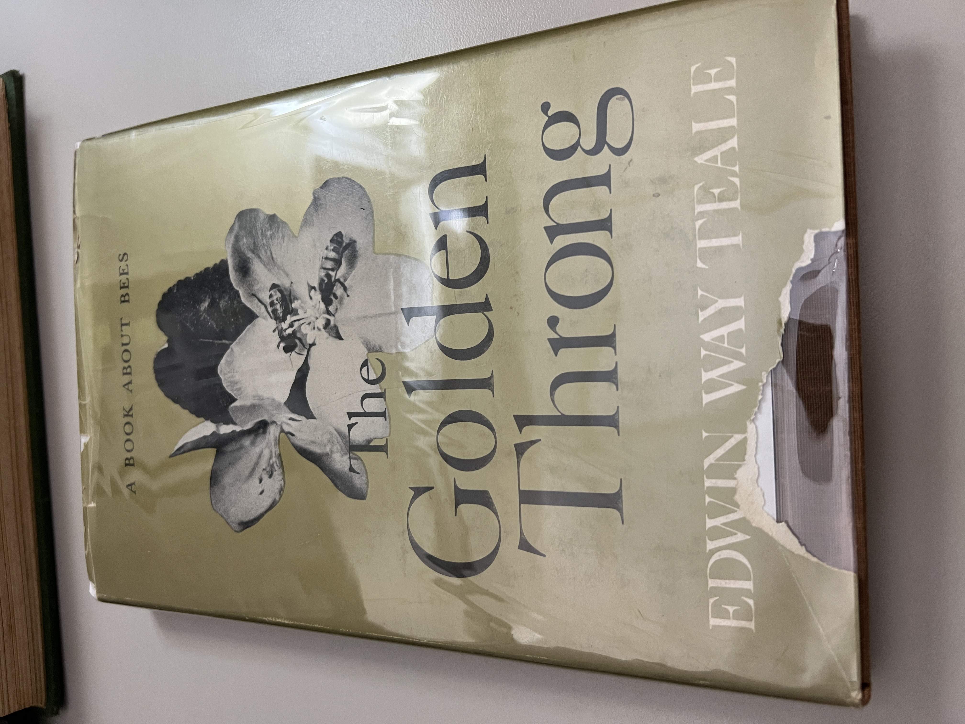 Image for The Golden Throng