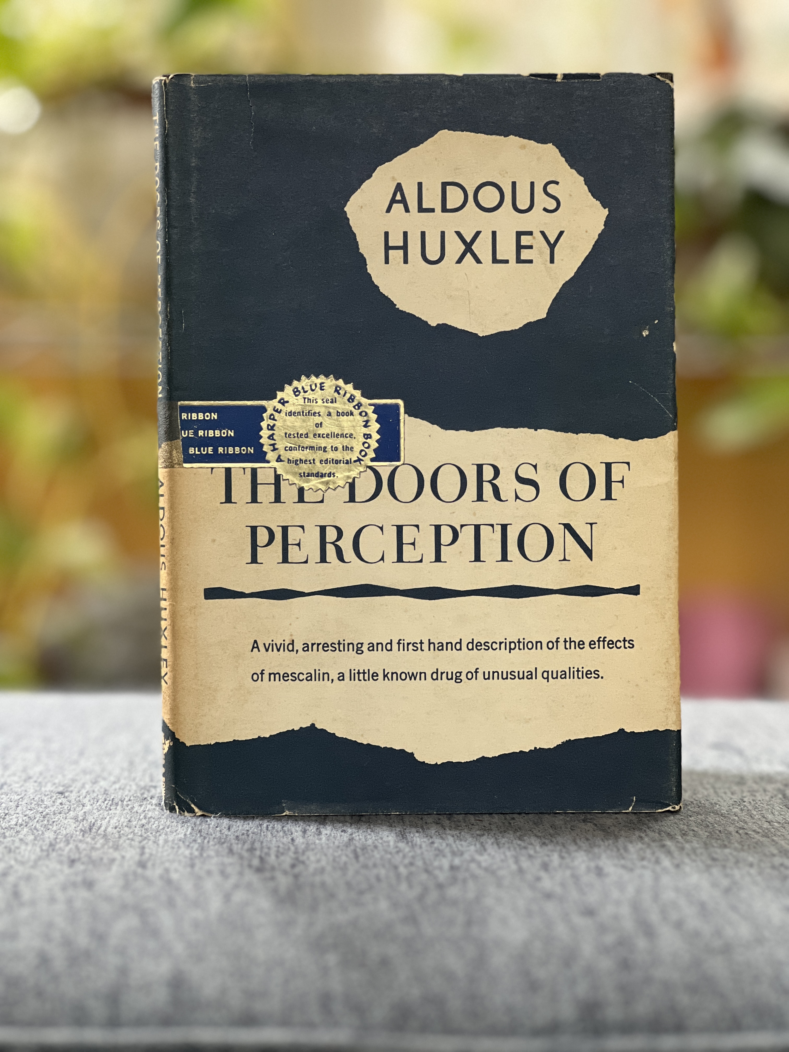 Image for The Doors of Perception