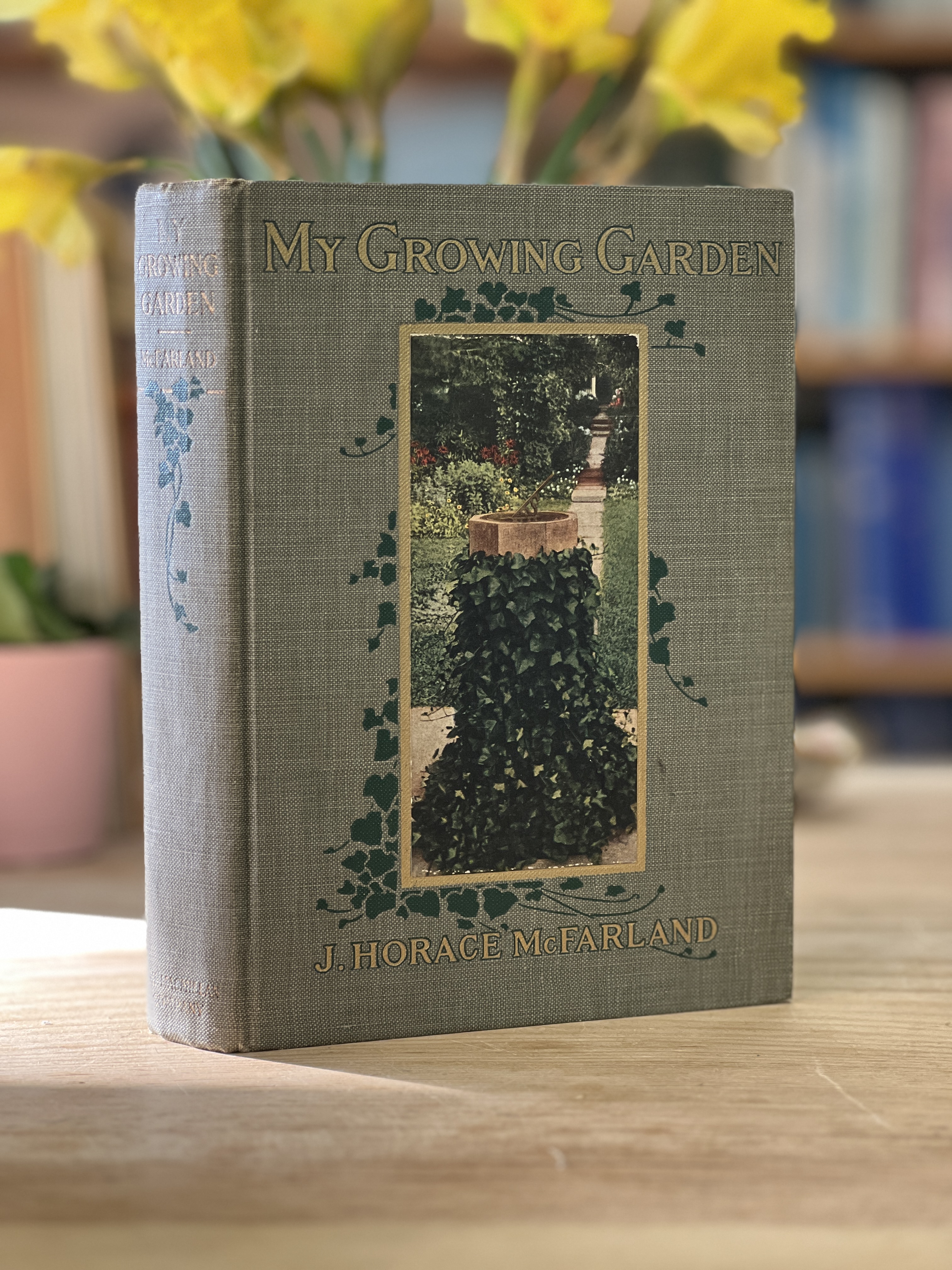 Image for My Growing Garden
