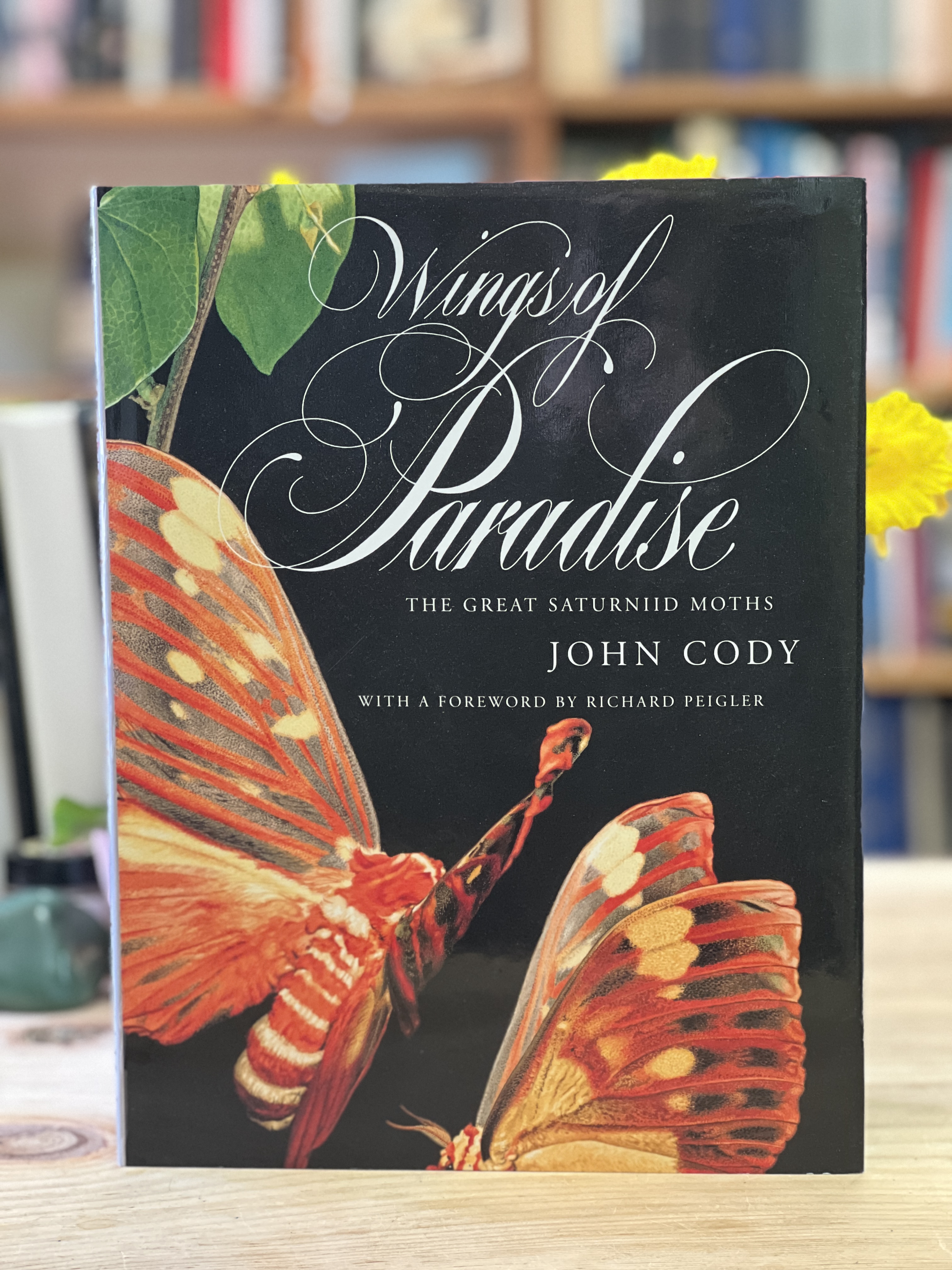 Image for "Wings of the Paradise, the Great Saturnid Moths"