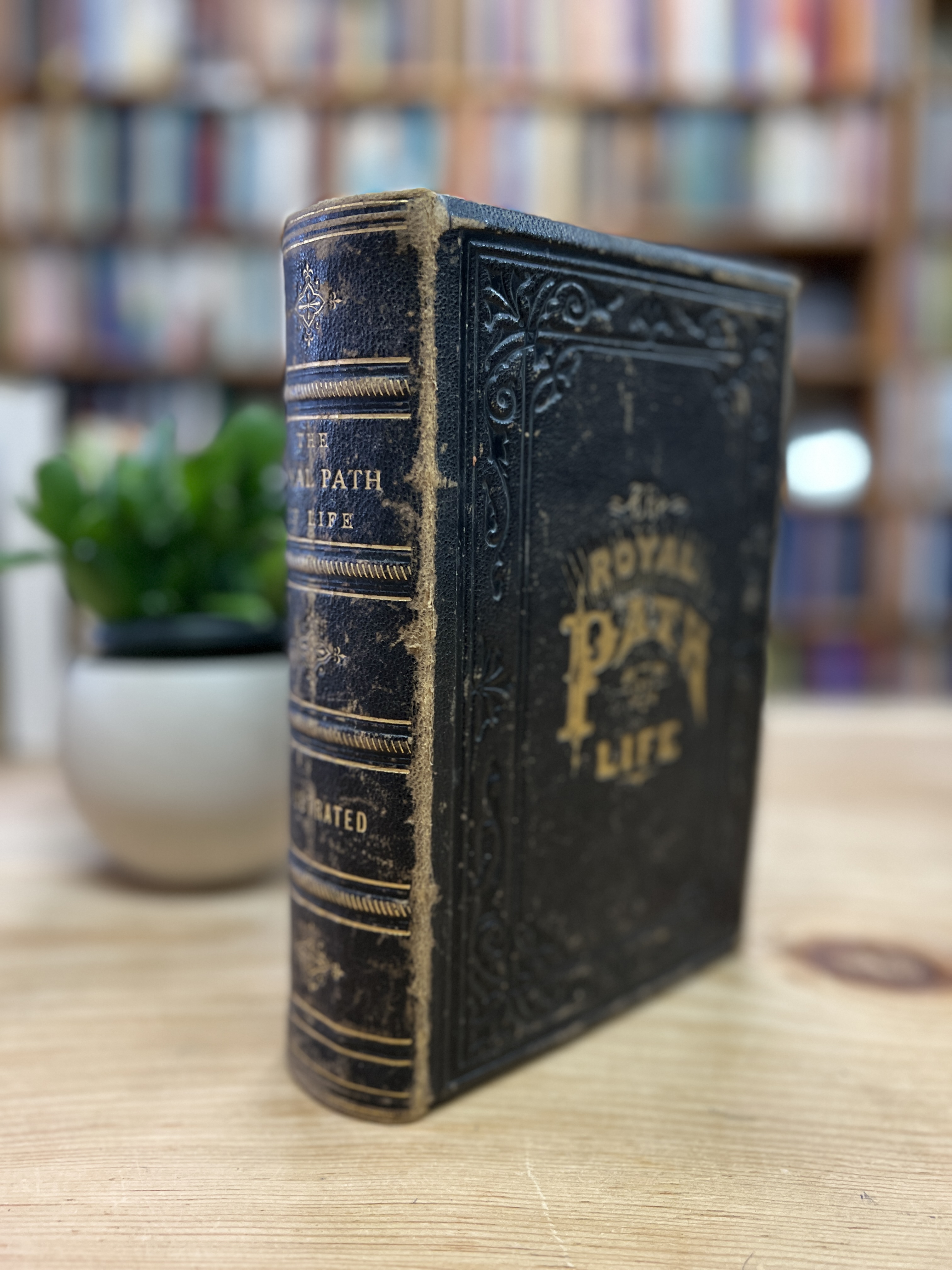 Image for The Royal Path of Life