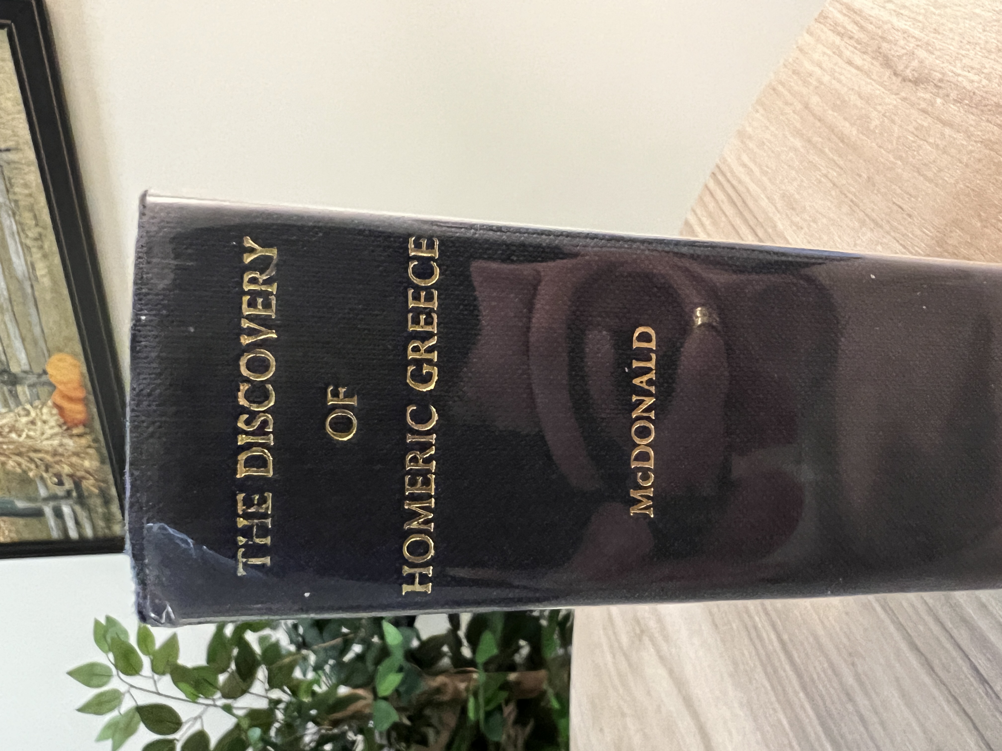 Image for Discovery of Homeric Greece