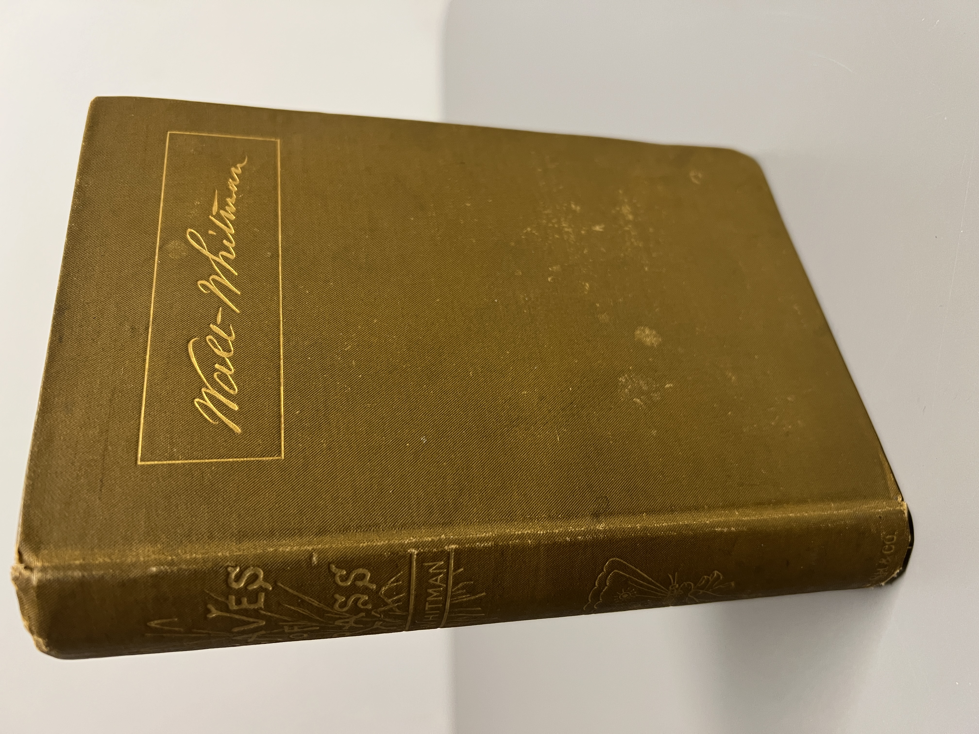 Image for Leaves of Grass 1882 Edition