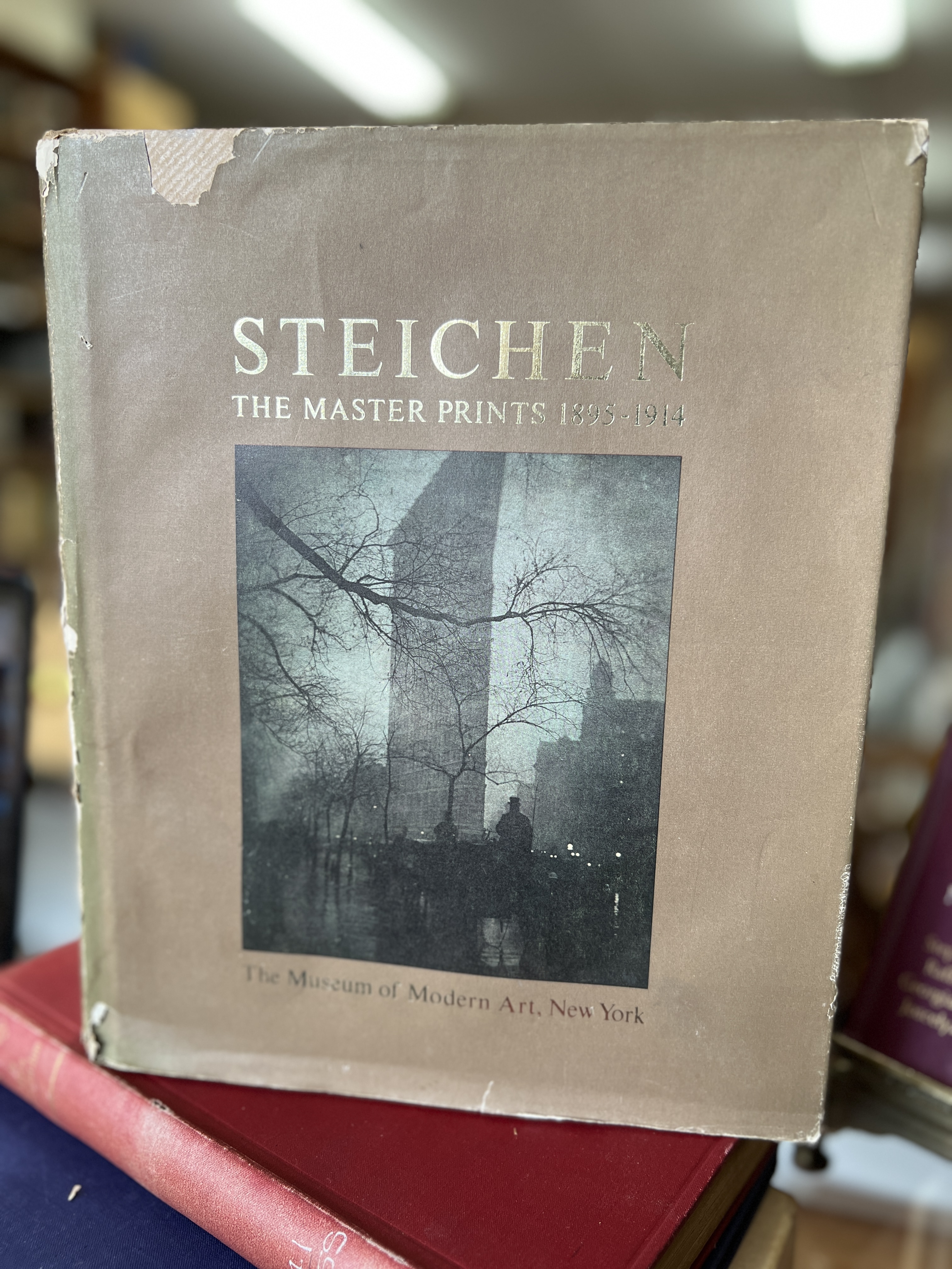 Image for "Edward Steichen, The Master Prints 1895-1914 The Symbolist Period"