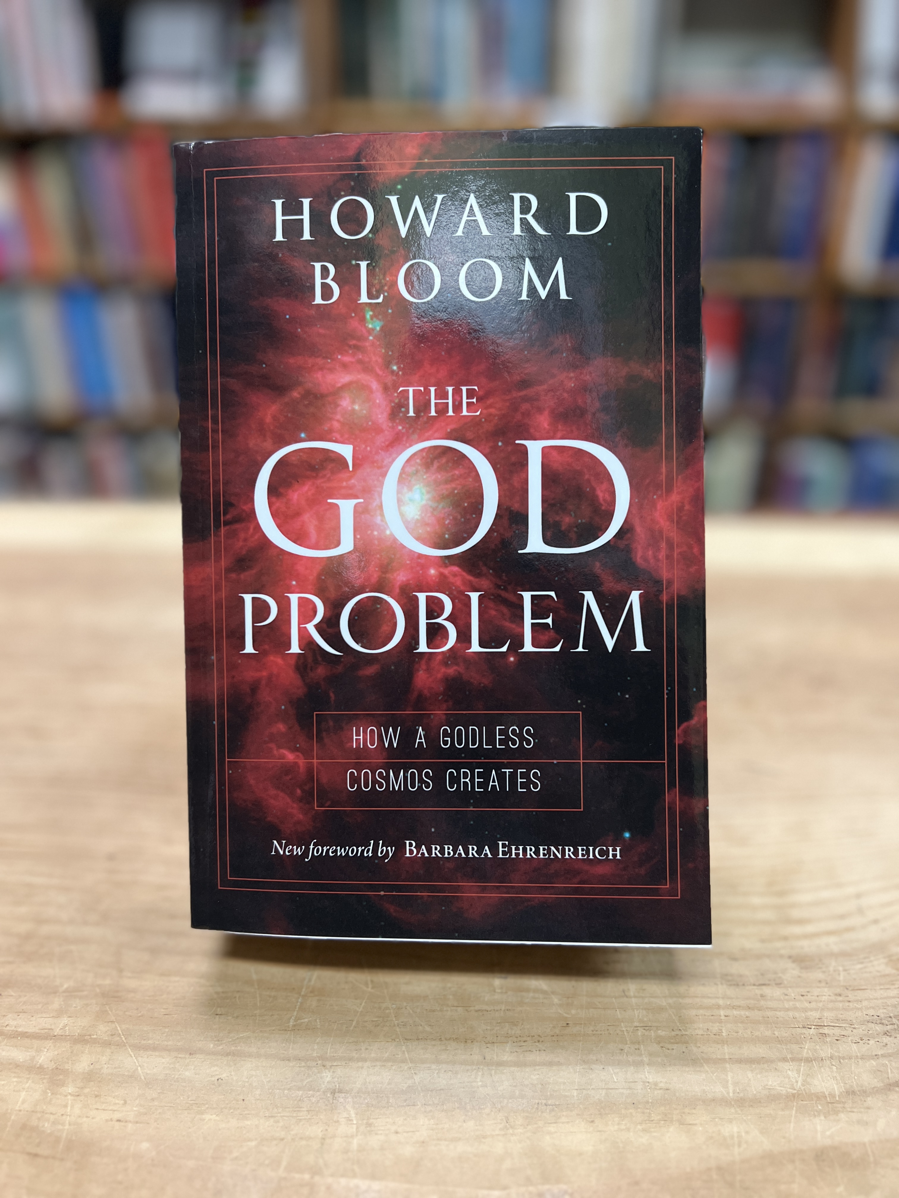 Image for "The God Problem, How a Godless Cosmos Creates"