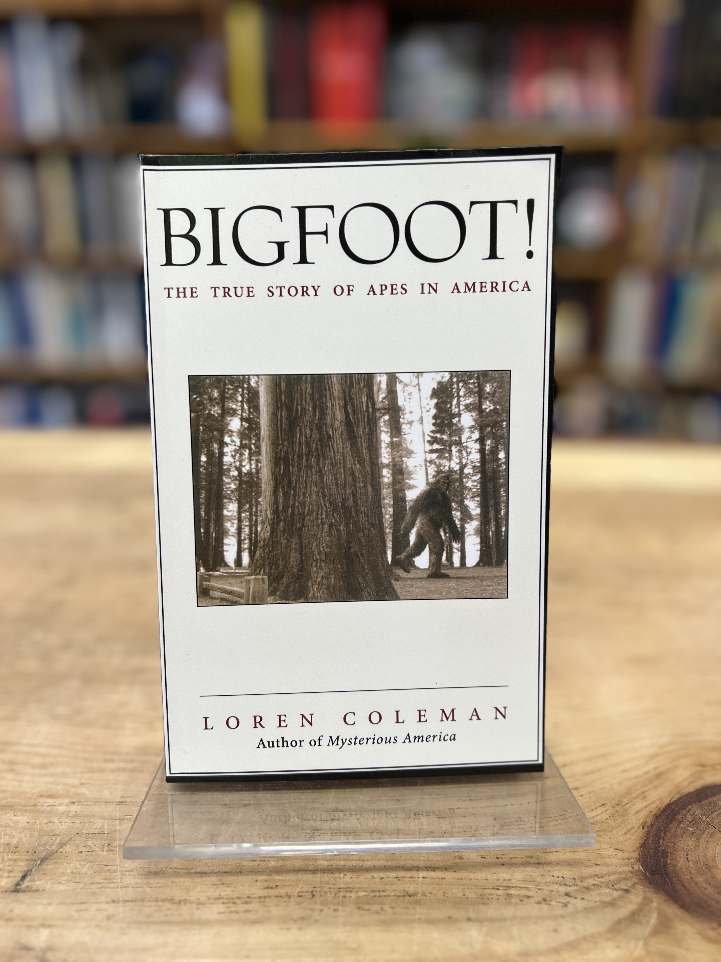 Category: Cryptozoology