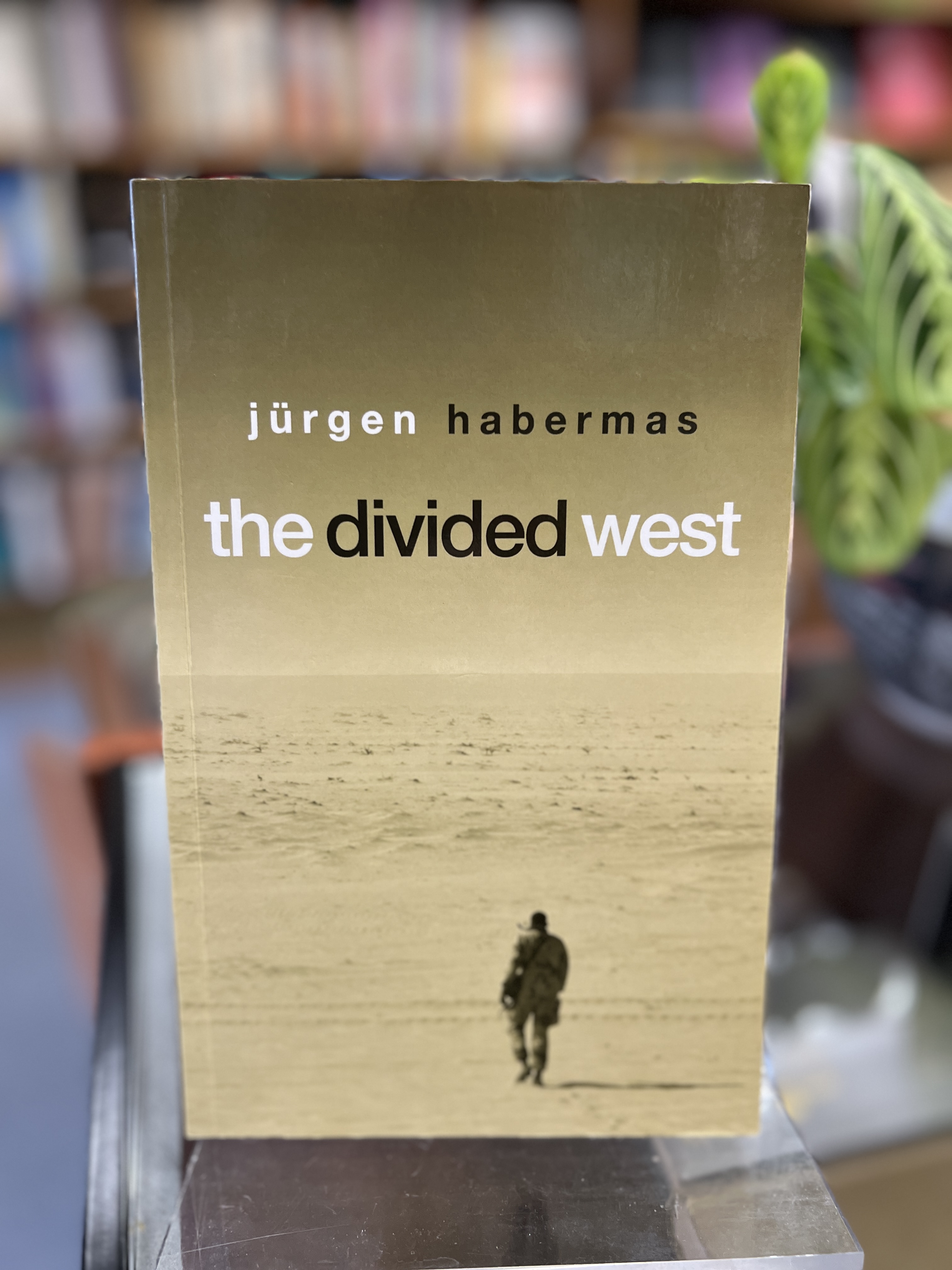 The Divided West