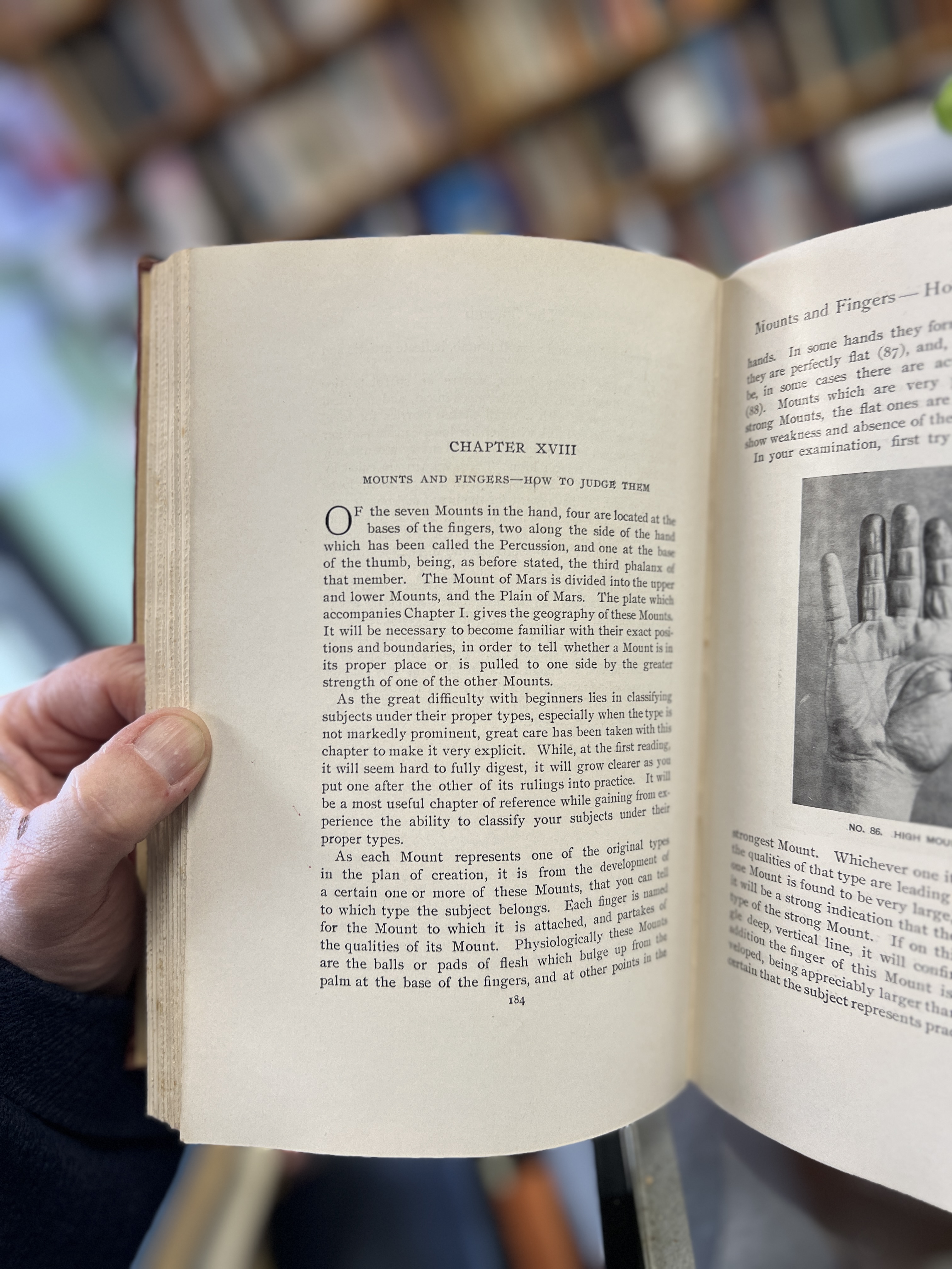 The Laws of Scientific Hand Reading