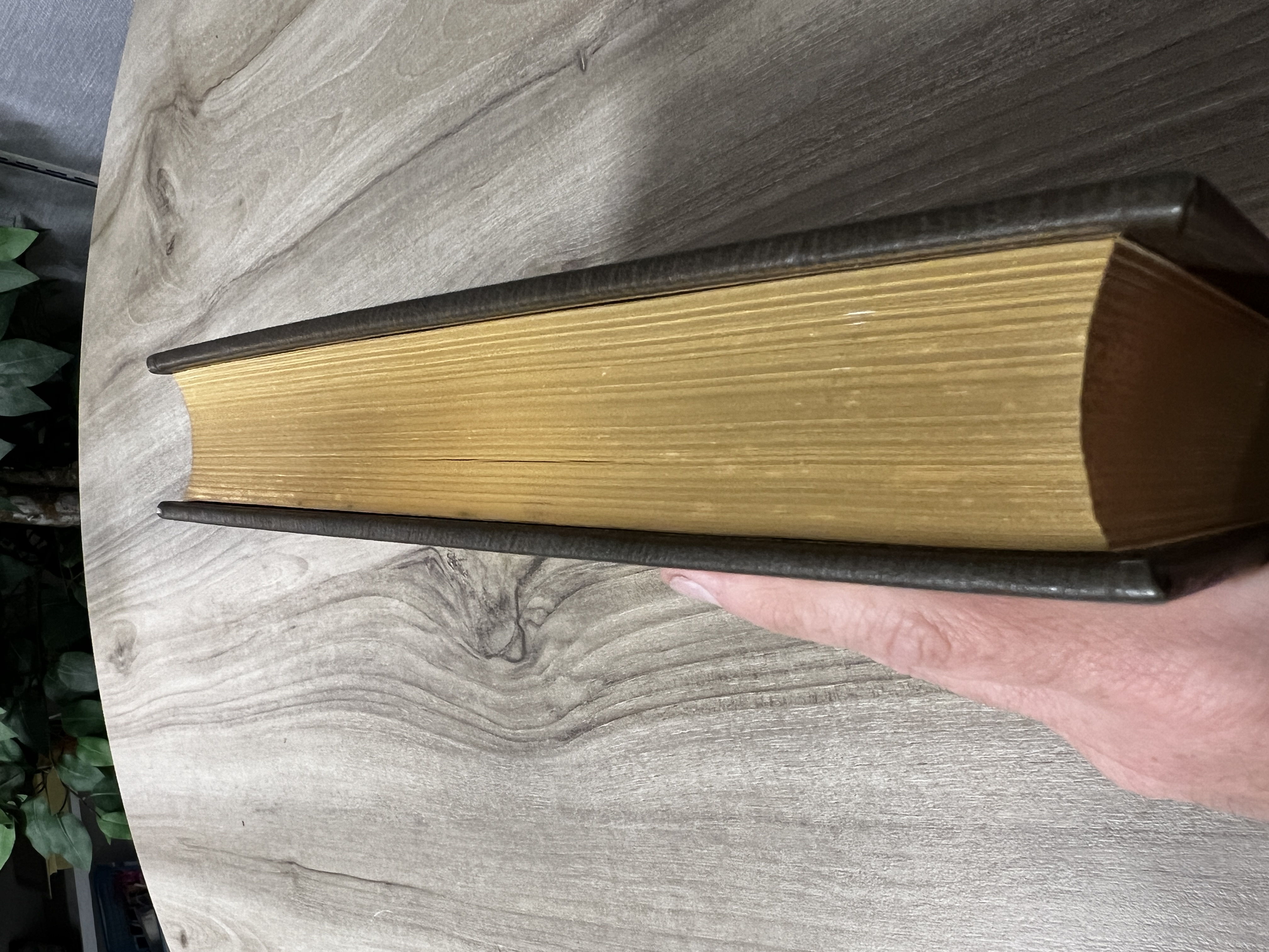 The History of Herodotus