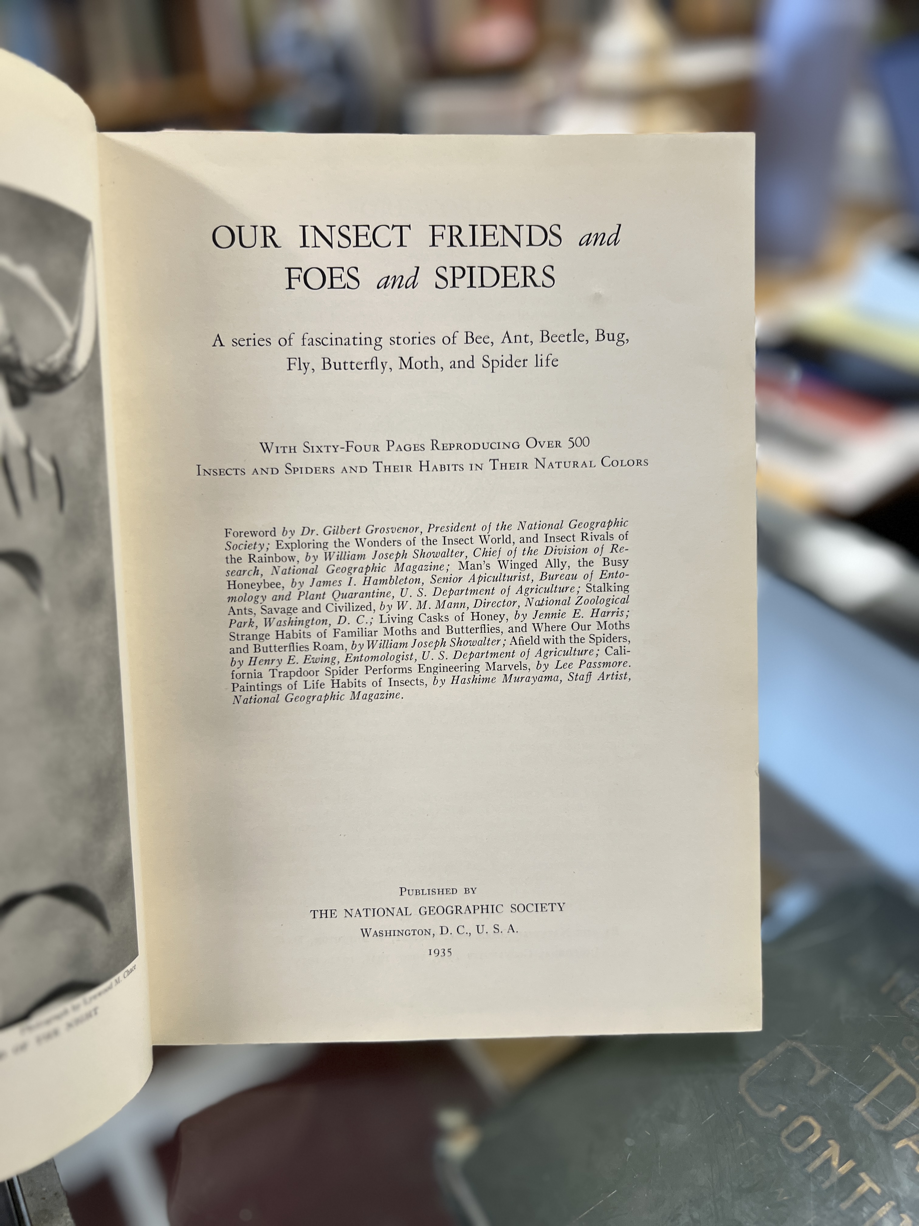 Our Insect Friends and Foes and Spiders