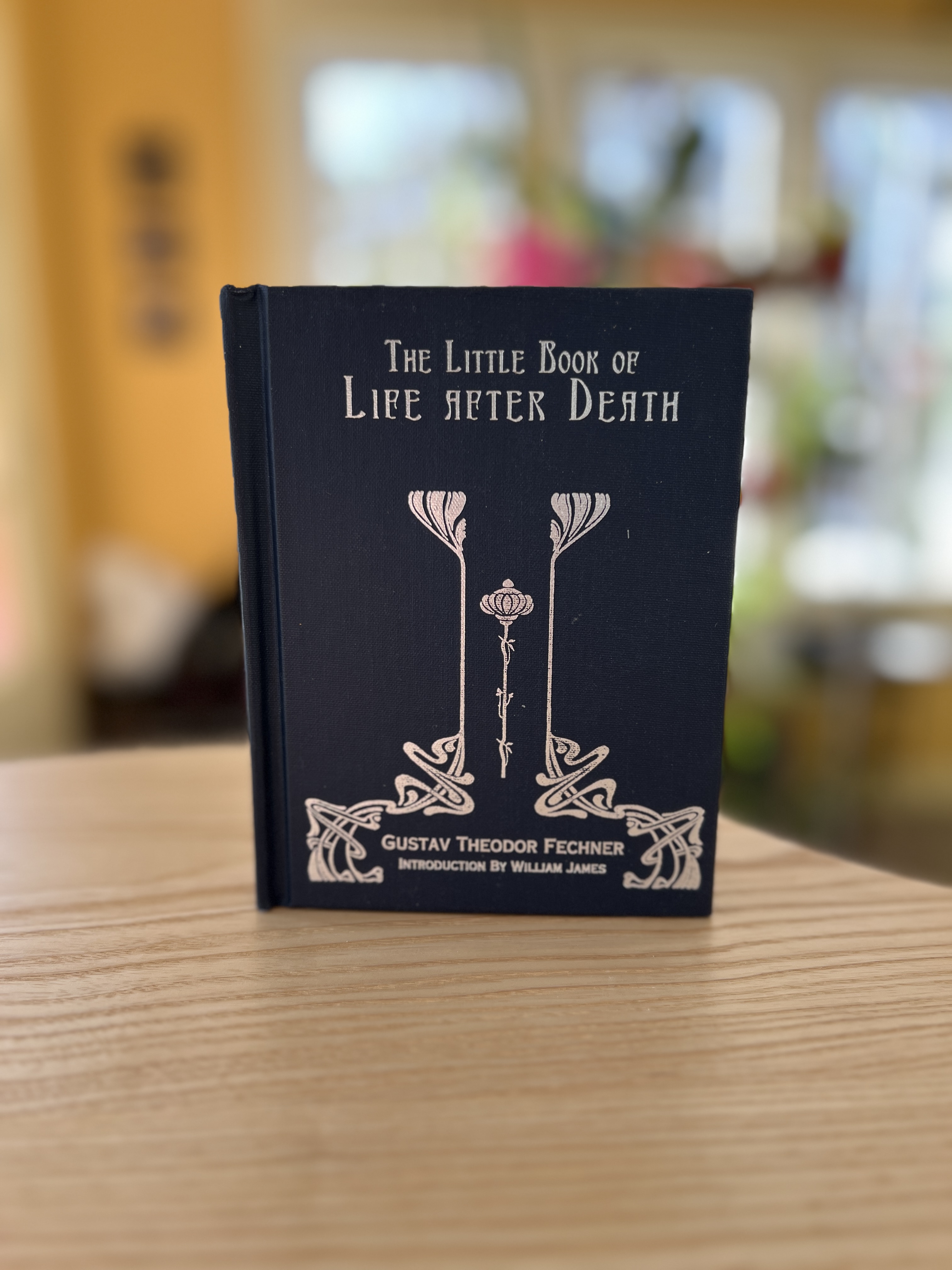 The Little Book of Life After Death