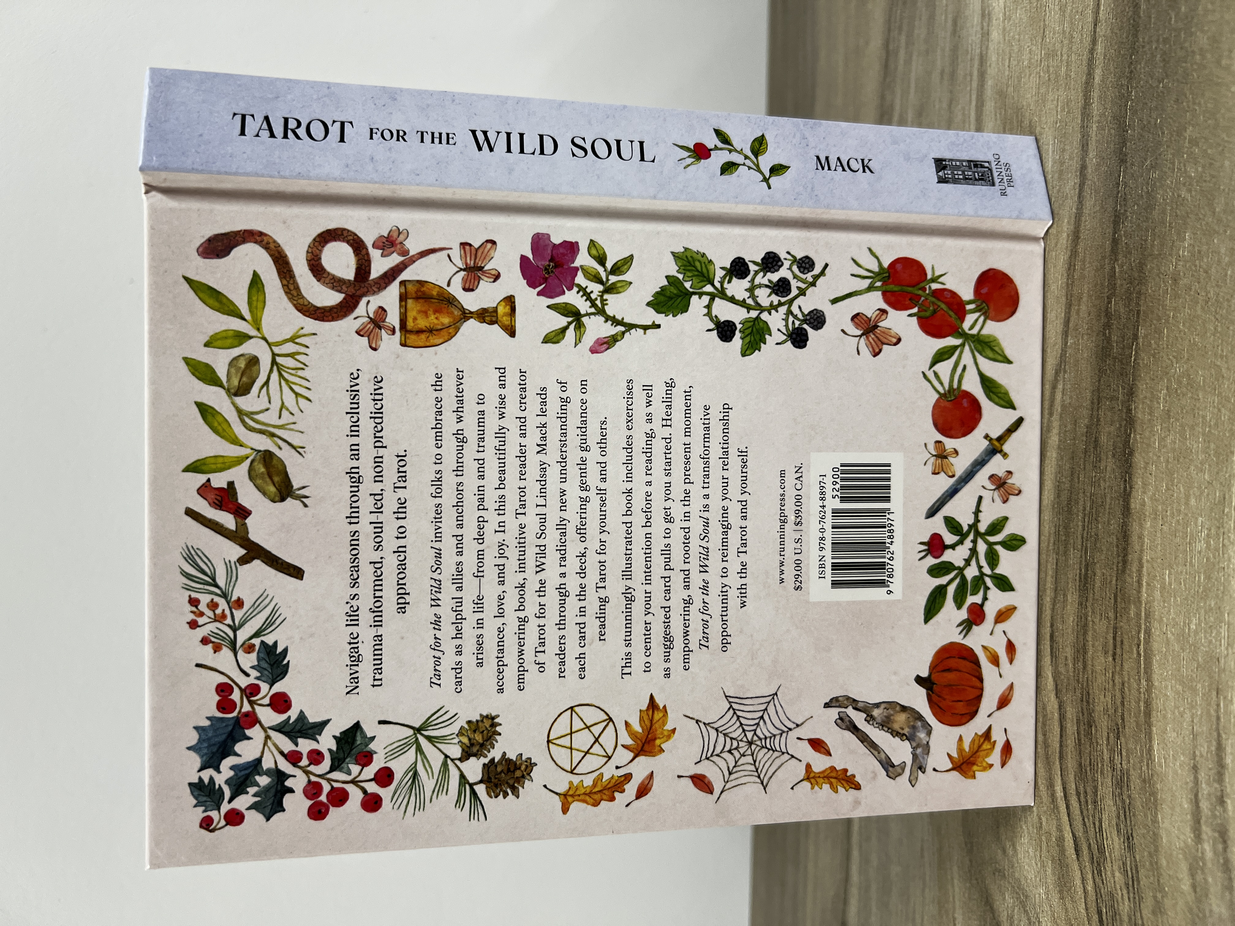 Tarot for the Wild Soul Book