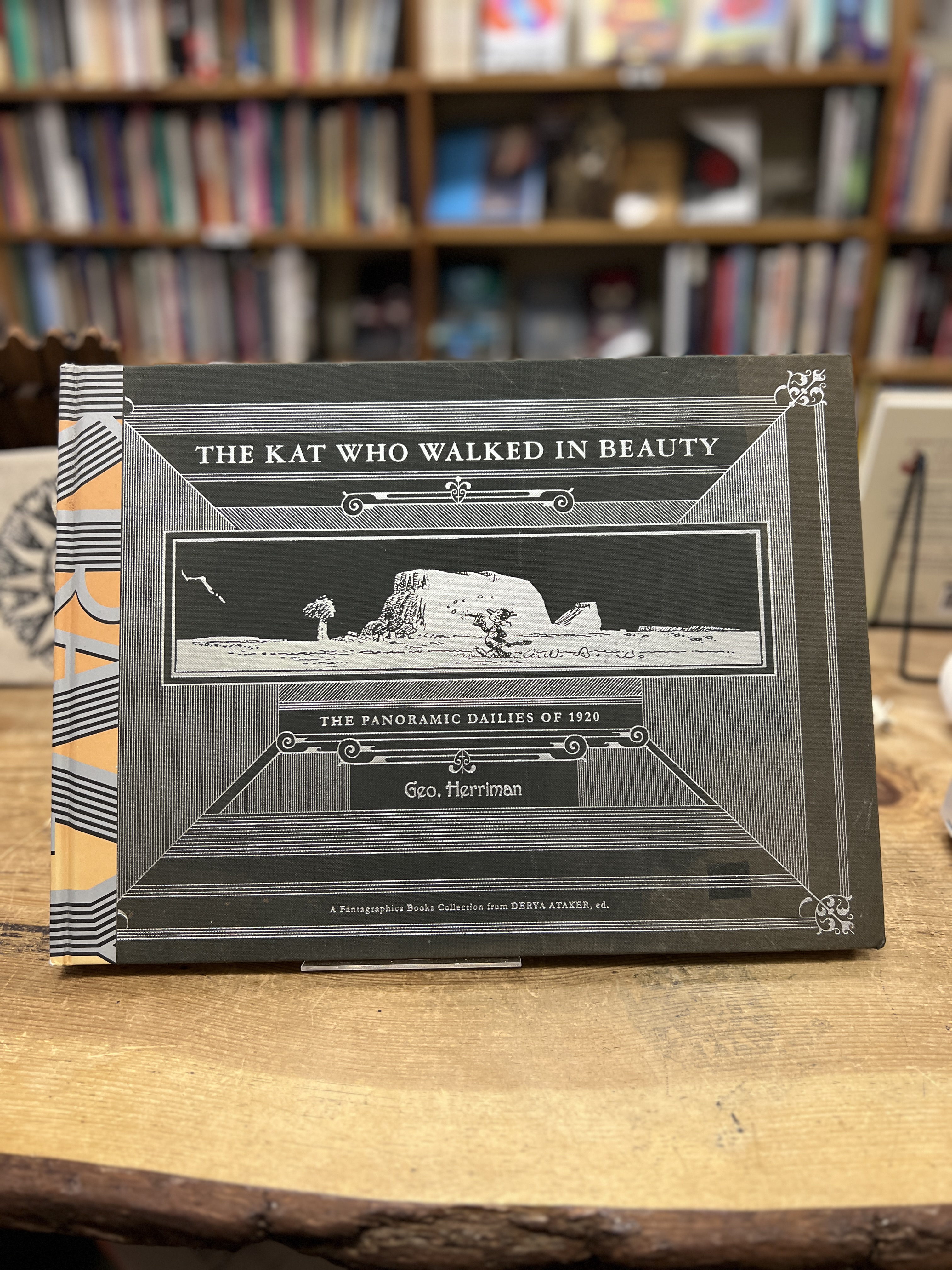 The Kat Who Walked in Beauty: The Panoramic Dailies of 1920